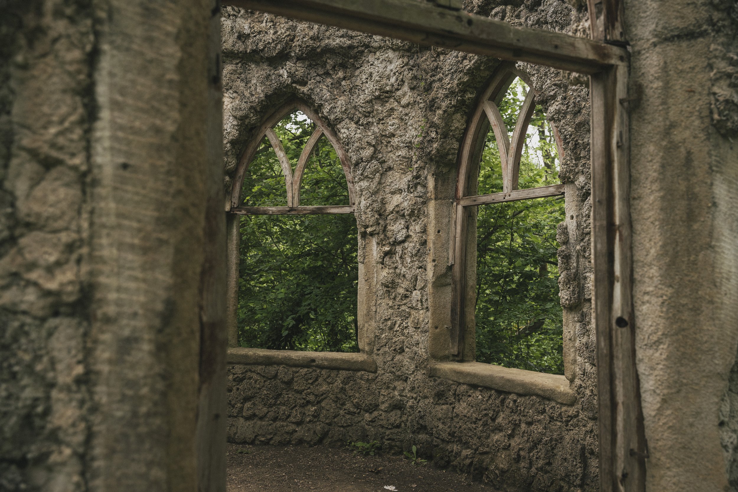 Hackfall Wood 8