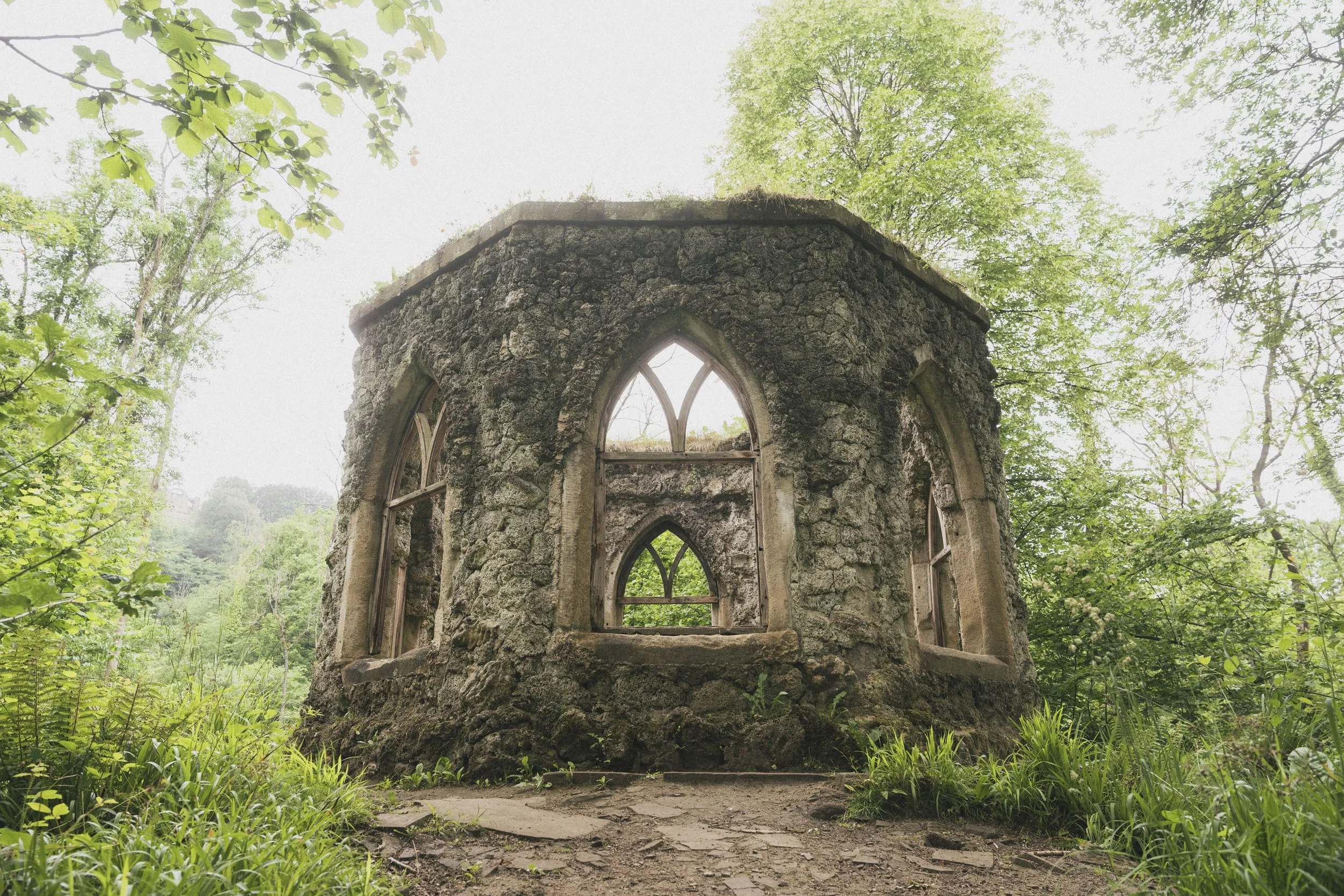 Hackfall Wood 7
