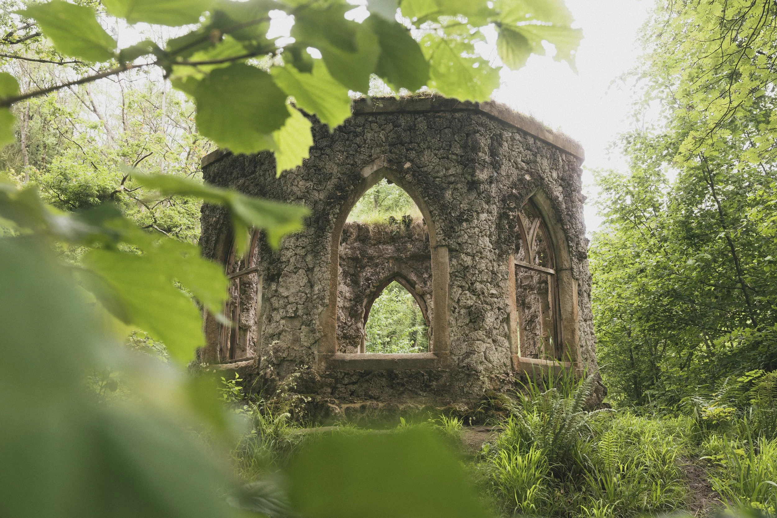 Hackfall Wood 12