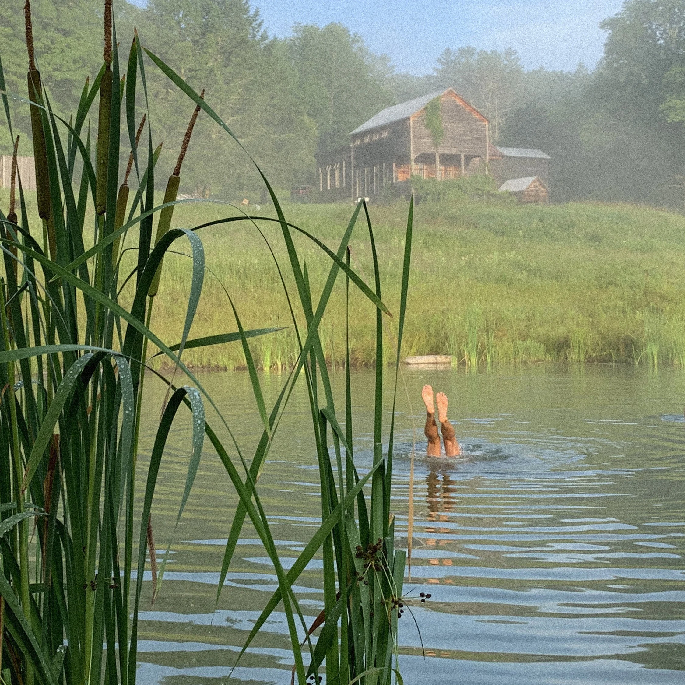 Mildreds2020B_image copy.jpg