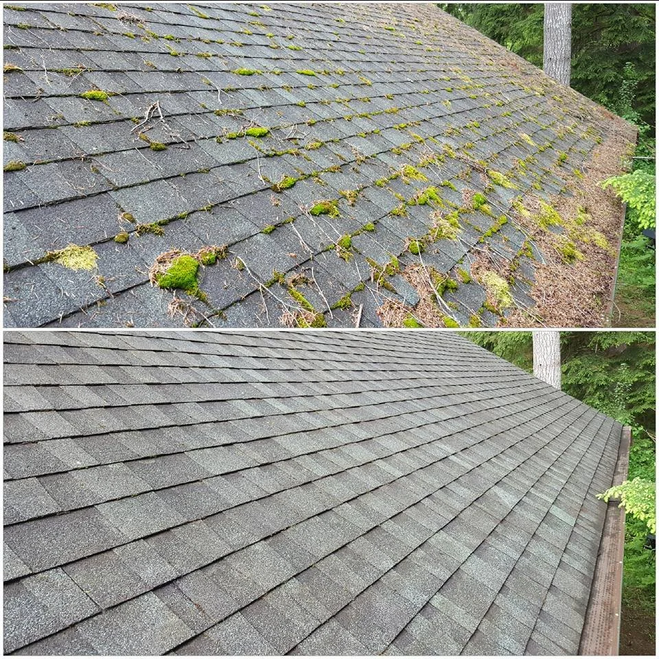 Comparison of a roof before and after cleaning: the top shows moss and debris on shingles, the bottom shows a clean, new-looking roof.