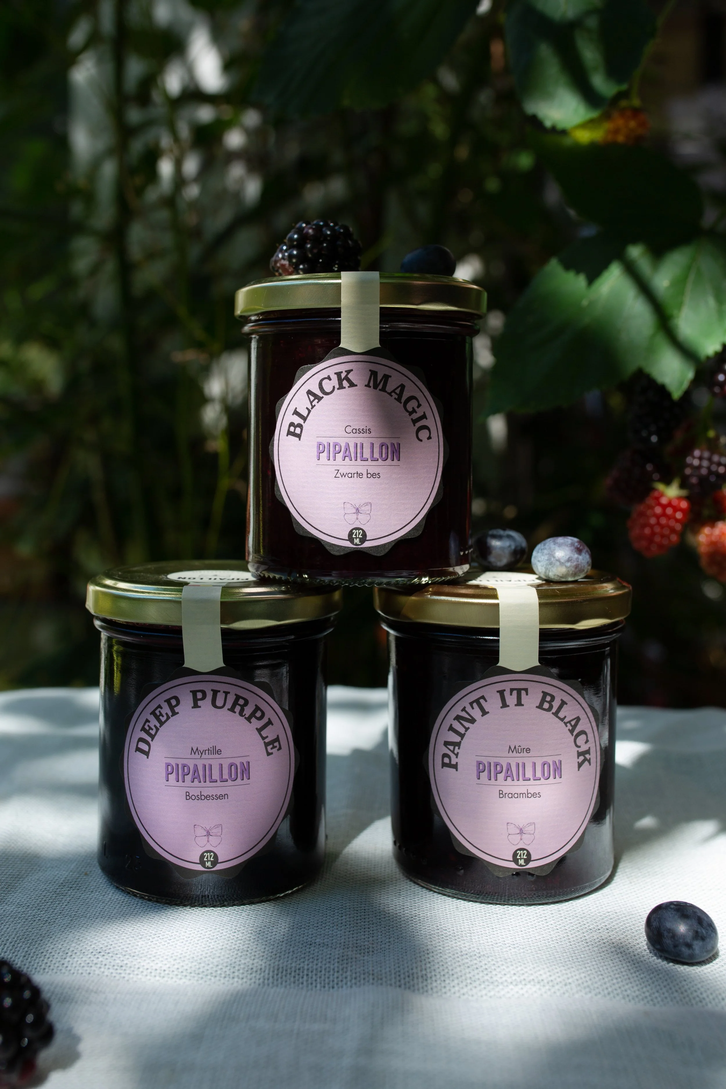 site pipaillon-3.jpg