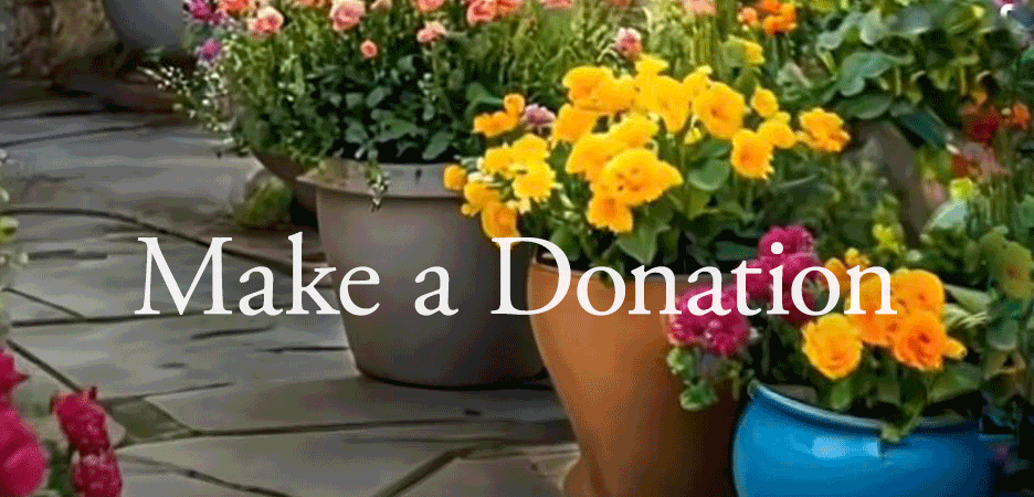 Colorful potted flowers, including yellow, pink, and orange blooms, on a garden patio with the text "Make a Donation" overlaid.