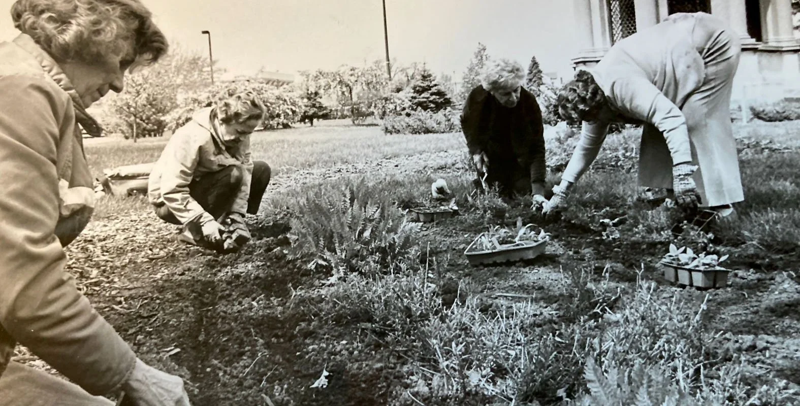 100th Anniversary_Main_0021_Layer 19.jpg