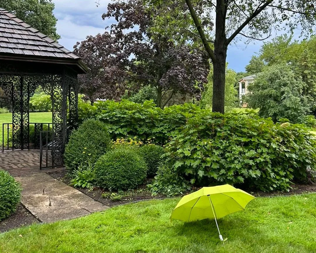 A green umbrella lying open on a well-maintained lawn in a garden with bushes, trees, and a small gazebo.
