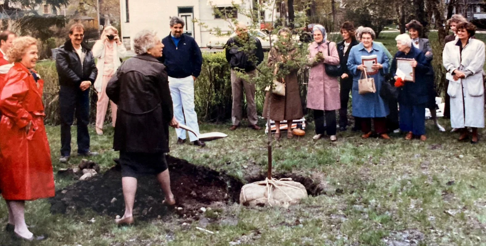 100th Anniversary_Main_0019_Layer 21.jpg