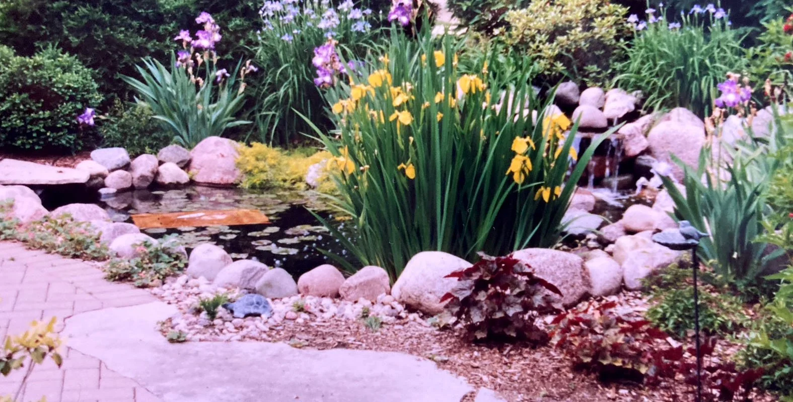 100th Anniversary_Main_0005_Layer 41.jpg