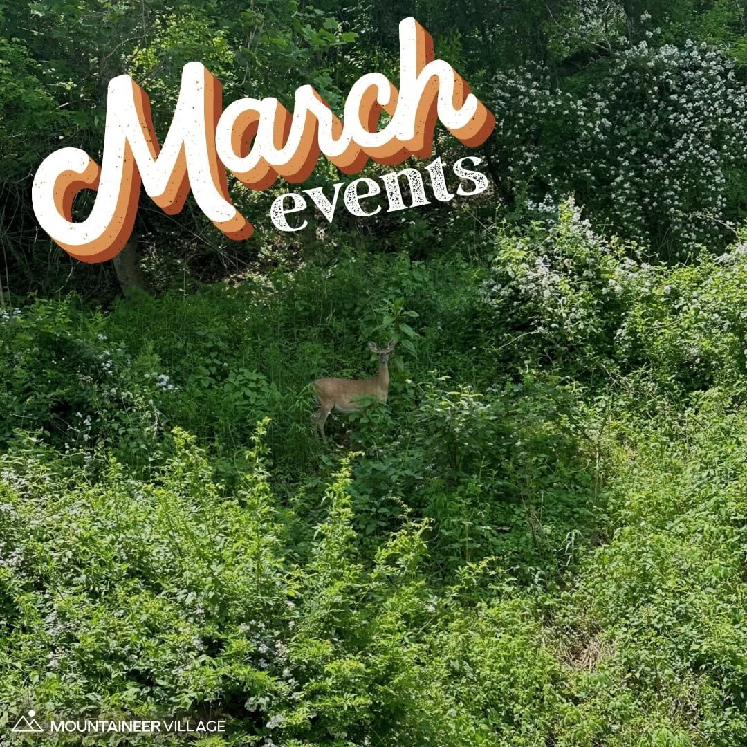 We can't wait until our community is this green again! Spring into March with these awesome resident events and learn why there's always something to look forward to at Mountaineer Village! #boonenc #appstate #mountaineervillage #studentliving #resid