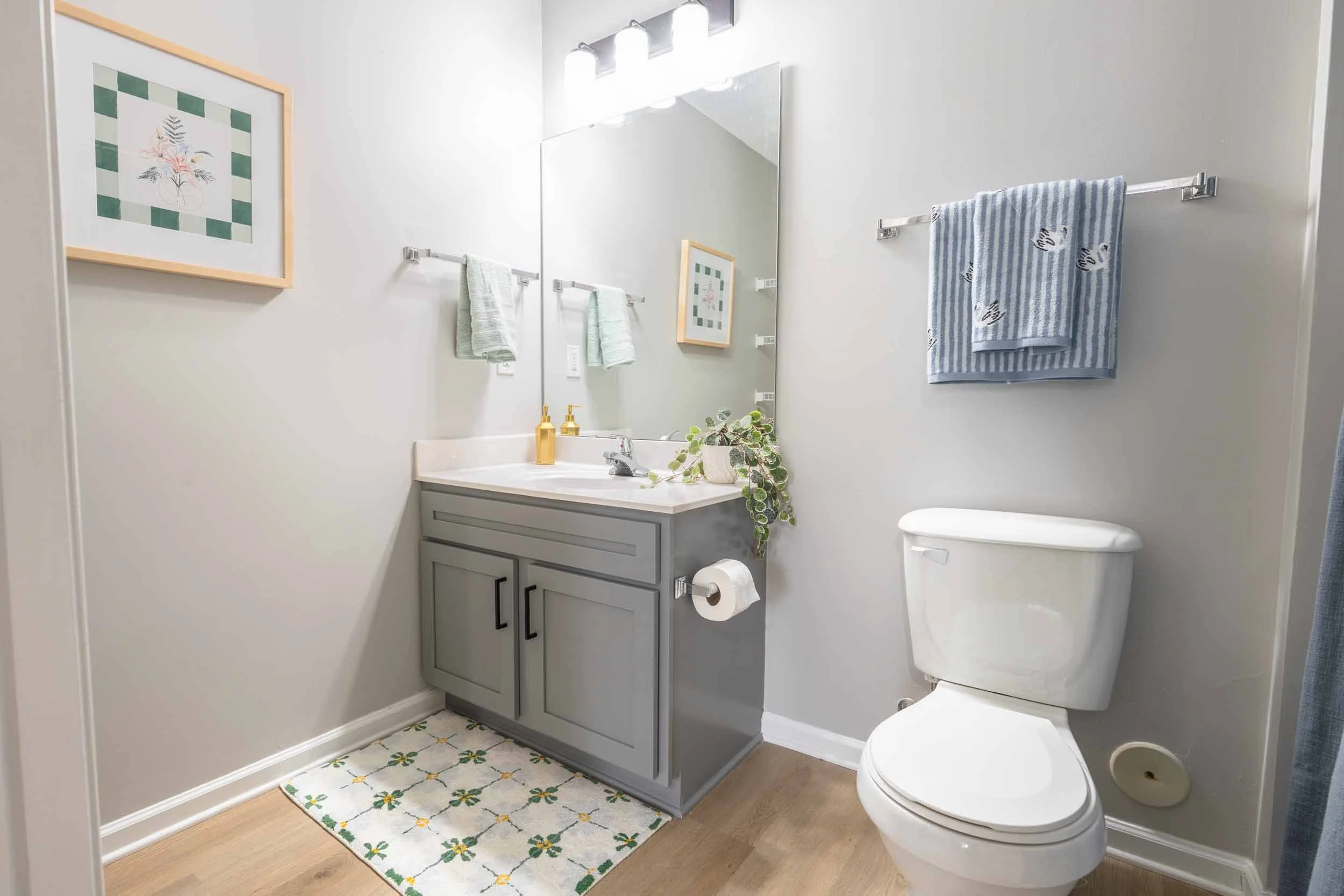 Mountaineer Village | Student Apartments in Boone, NC near App State | Bathroom