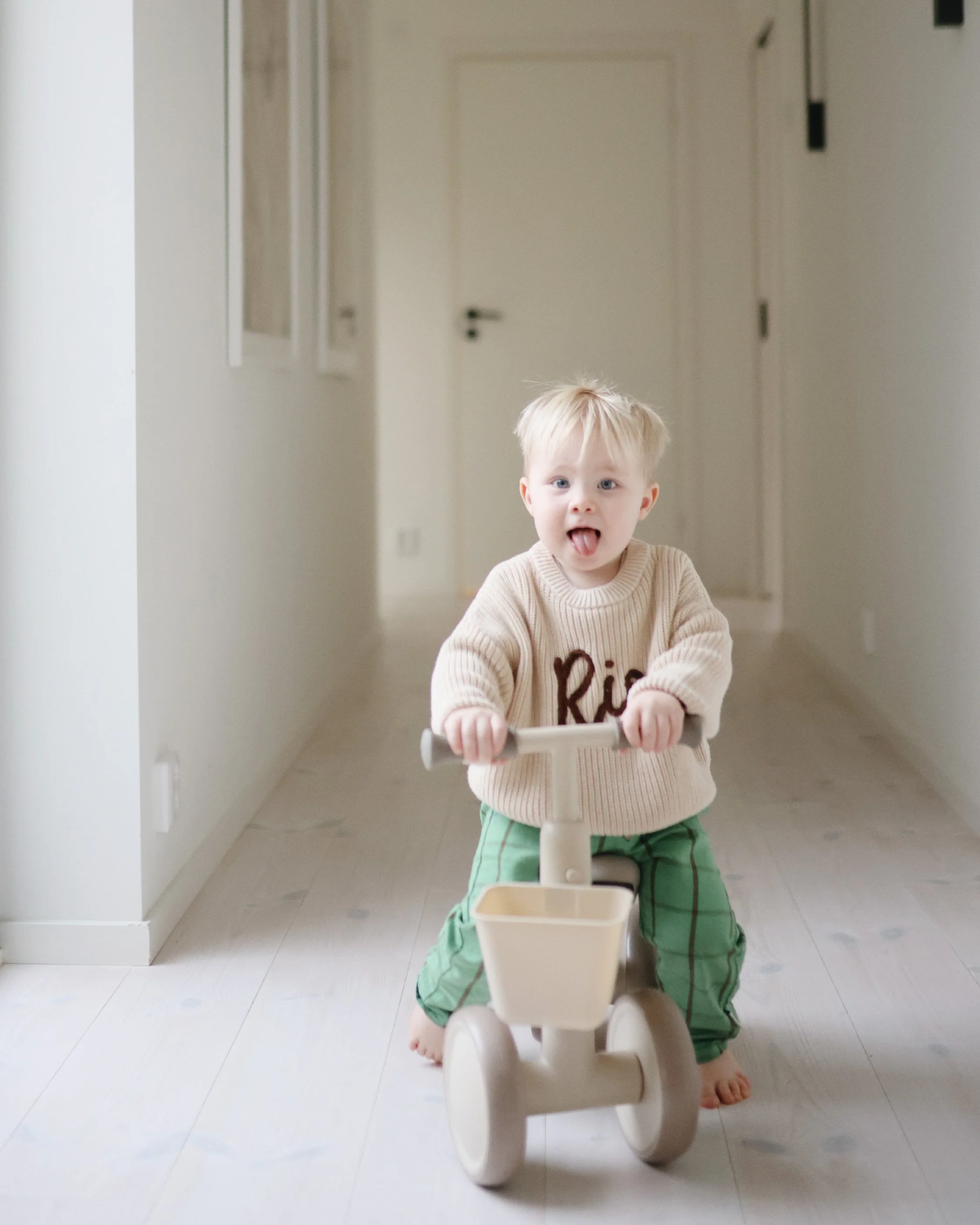 Mini Toddler Bike_Shifting Sand - 003.jpg