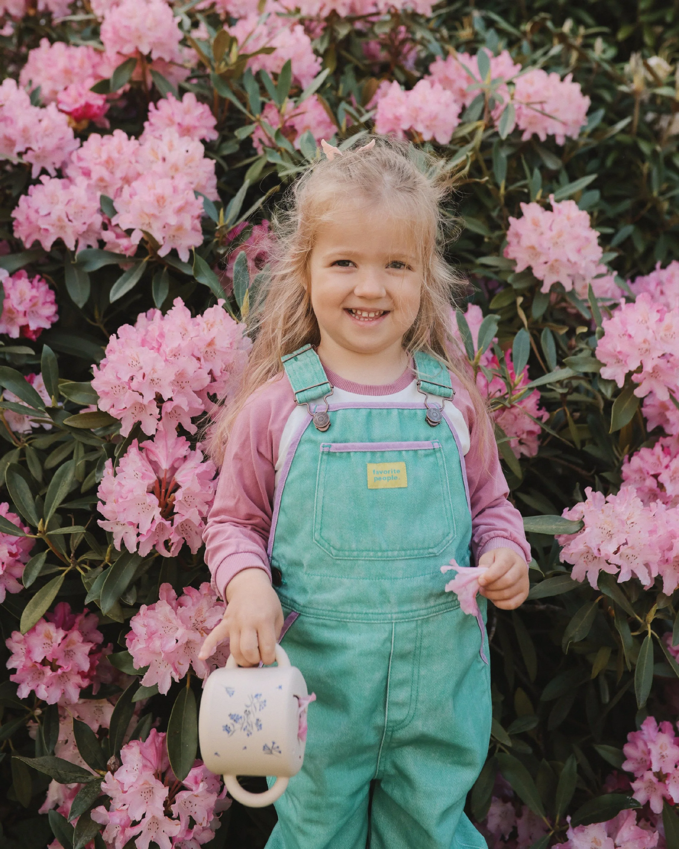 Snack Cup_Snack Cup - 003.jpg