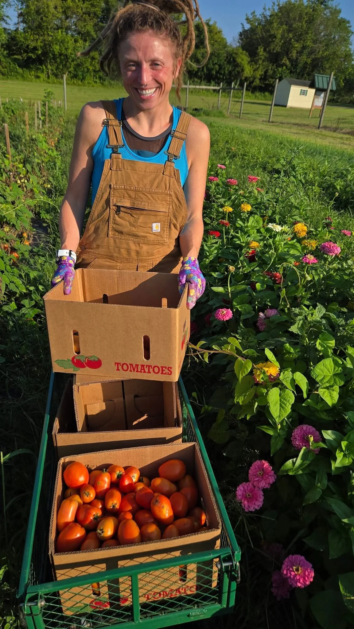 A woman with dreadlocks smiling in a garden, wearing overalls, and holding a tomato box. There are boxes of tomatoes and a cart in front of her. The garden has flowering plants and a fence in the background.