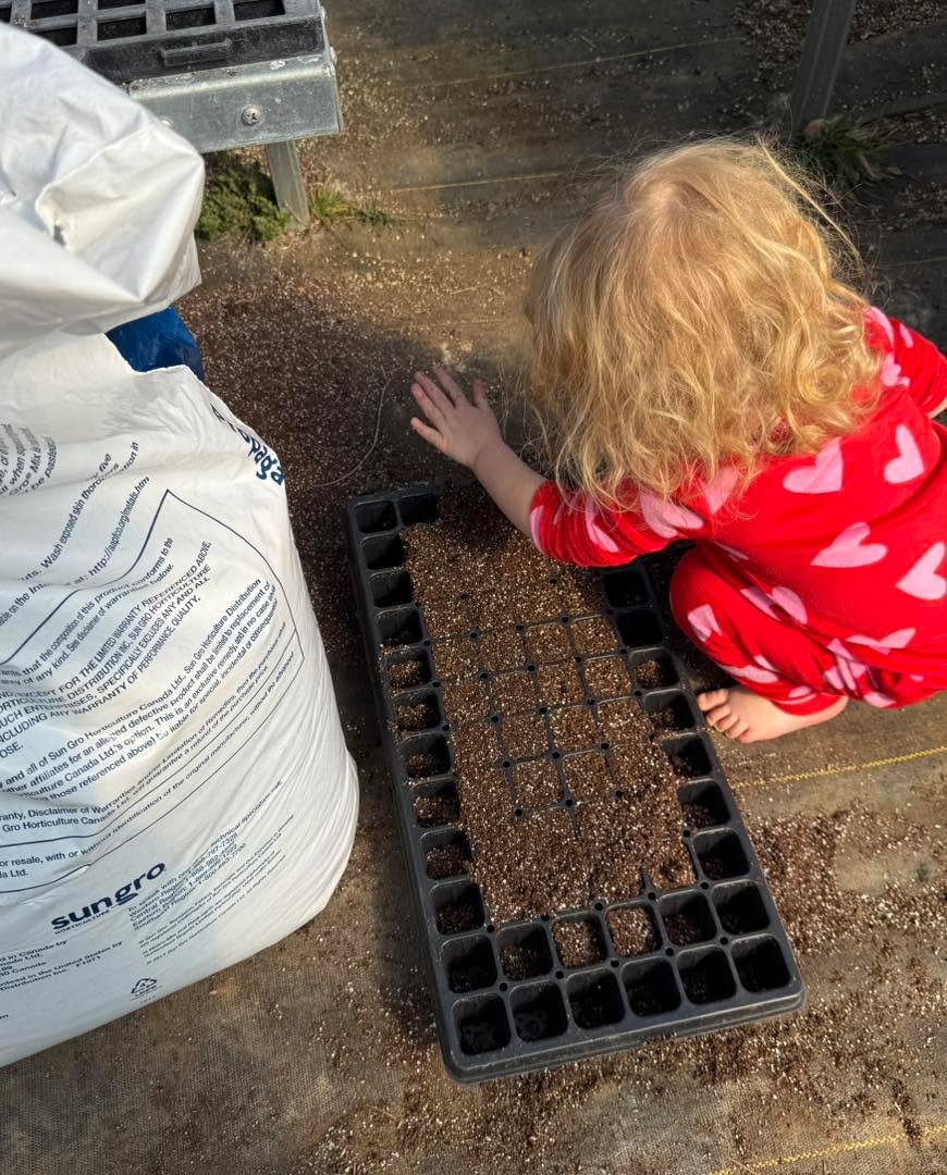 Our intern is working hard during the snow storm !! Hope everyone is safe and sound 😊

#flowerfarmer #WomenOwnedFarm #FauquierEducationFarm #FarmSeason
