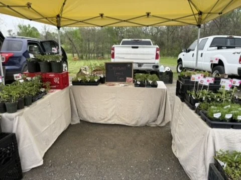 Roadside Stand