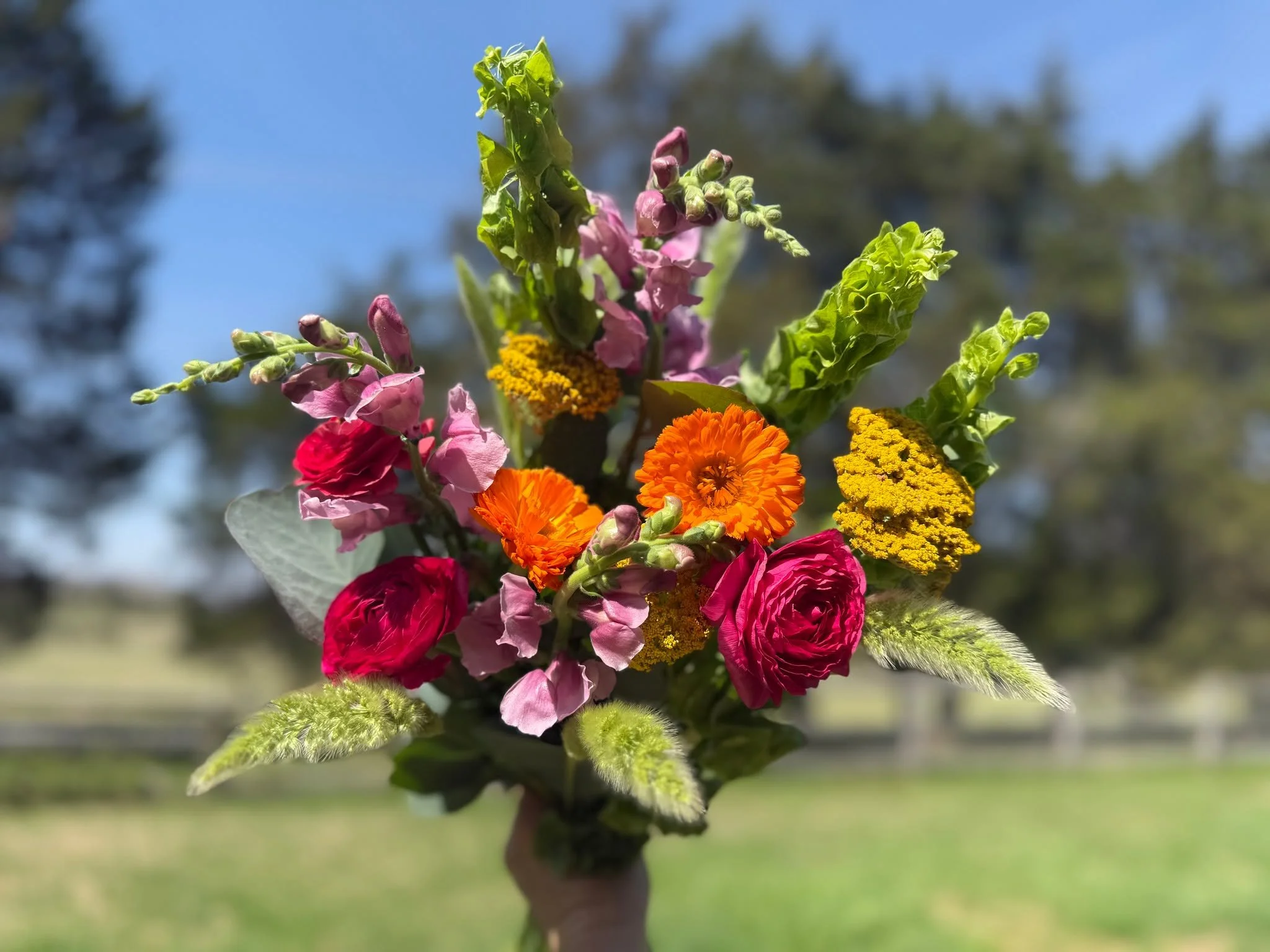 Last call for Mother&rsquo;s Day bouquets 🌸 I&rsquo;m closing pre-orders tomorrow so I can start harvesting and building everything fresh for the weekend.

If you&rsquo;re planning to grab one, this is your moment!

Pickup in Gainesville
Delivery av