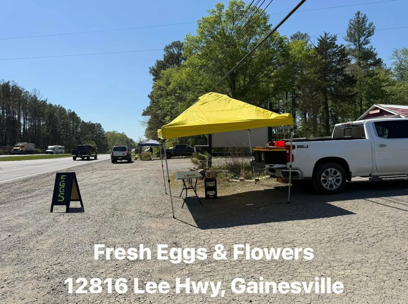 Big news!! 🥚🌻

Dreamland Family Farm and Super Nova Eggs opened a roadside stand at 12816 Lee Hwy in Gainesville!

We&rsquo;re excited to make it a little easier for you to grab farm fresh eggs and flowers on your way home. Stop by and say hello!

