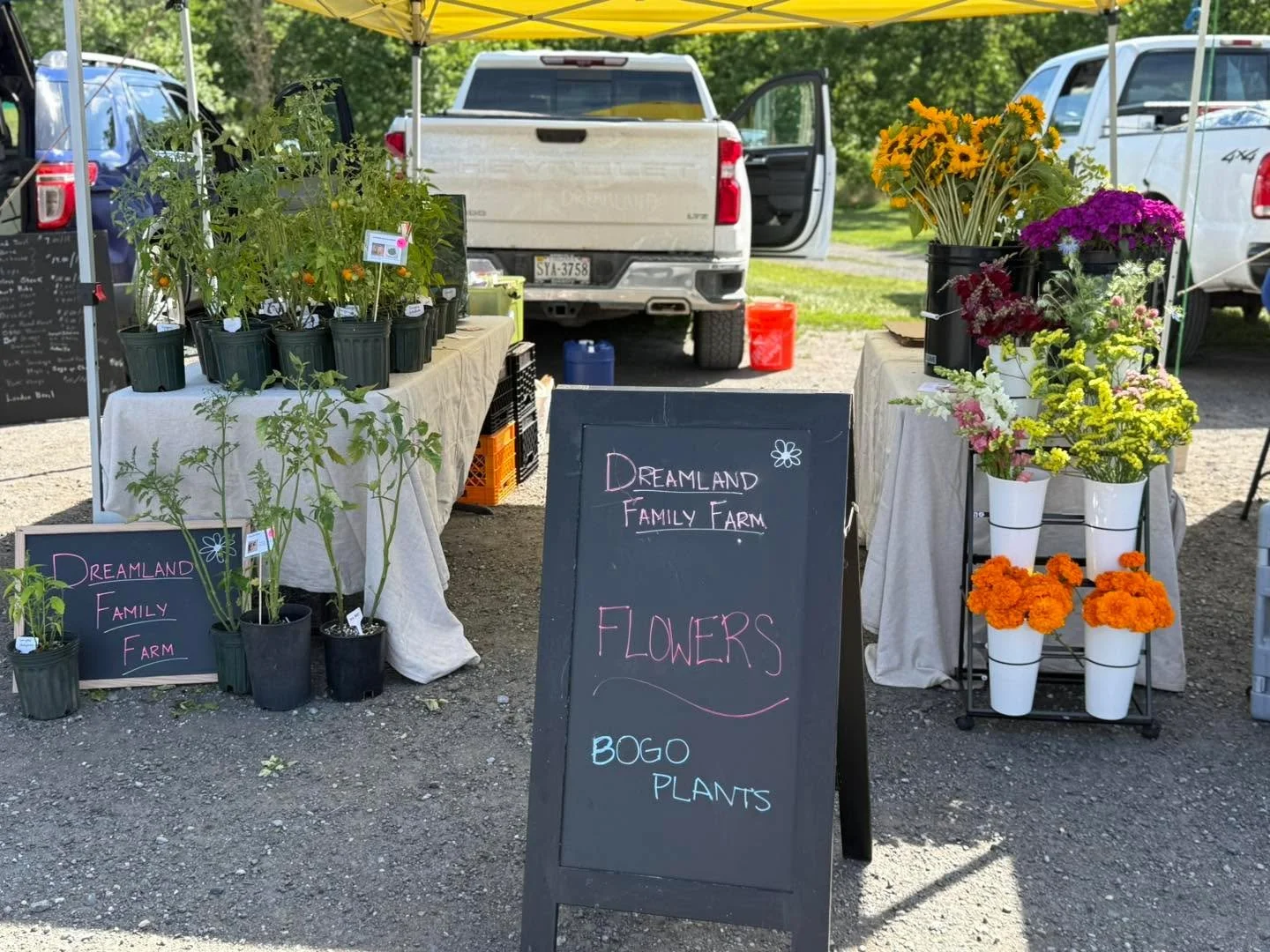 Come see us at gilbertscornermarket!!

 #gilbertscornermarket #seeyousoon #FarmFreshFlowers #LocalFlowers #SlowFlowers #VirginiaGrown #VirginiaFlowerFarm #DreamlandFamilyFarm #CutFlowers #WomenWhoFarm #FreshFlowers #FieldToVase