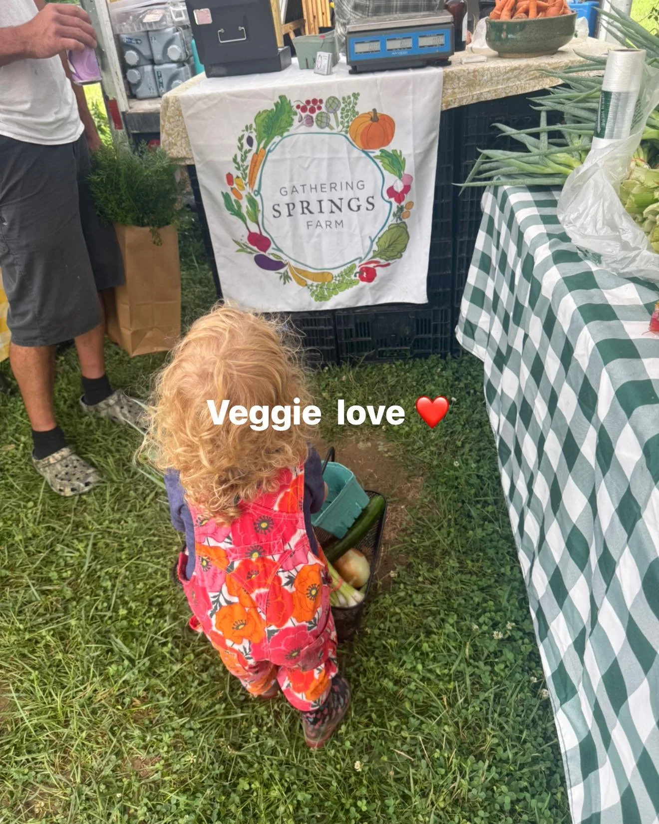 One of my favorite parts of farming is getting to support other local farms too. ❤️

Today Charlotte was on a mission at the Upperville Farmers Market, filling her little basket with fresh vegetables from our friends at Gathering Springs Farm.

If yo