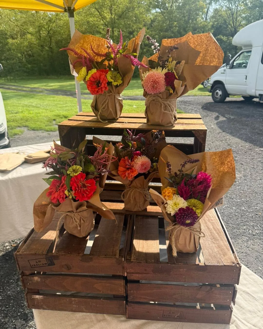 Come see me at gilbertscorner!!! 🌻🌸🌺🌷💐

#Dahlias #WeekendFlowers #VirginiaGrown #AldieVA #SupportLocalFarmers #GilbertsCornerFarmersMarket #LoudounCounty #FlowerFarmer #LoudounCountyVA #CutFlowers #LoudounLocal #VirginiaFlowerFarmer #FarmersMark