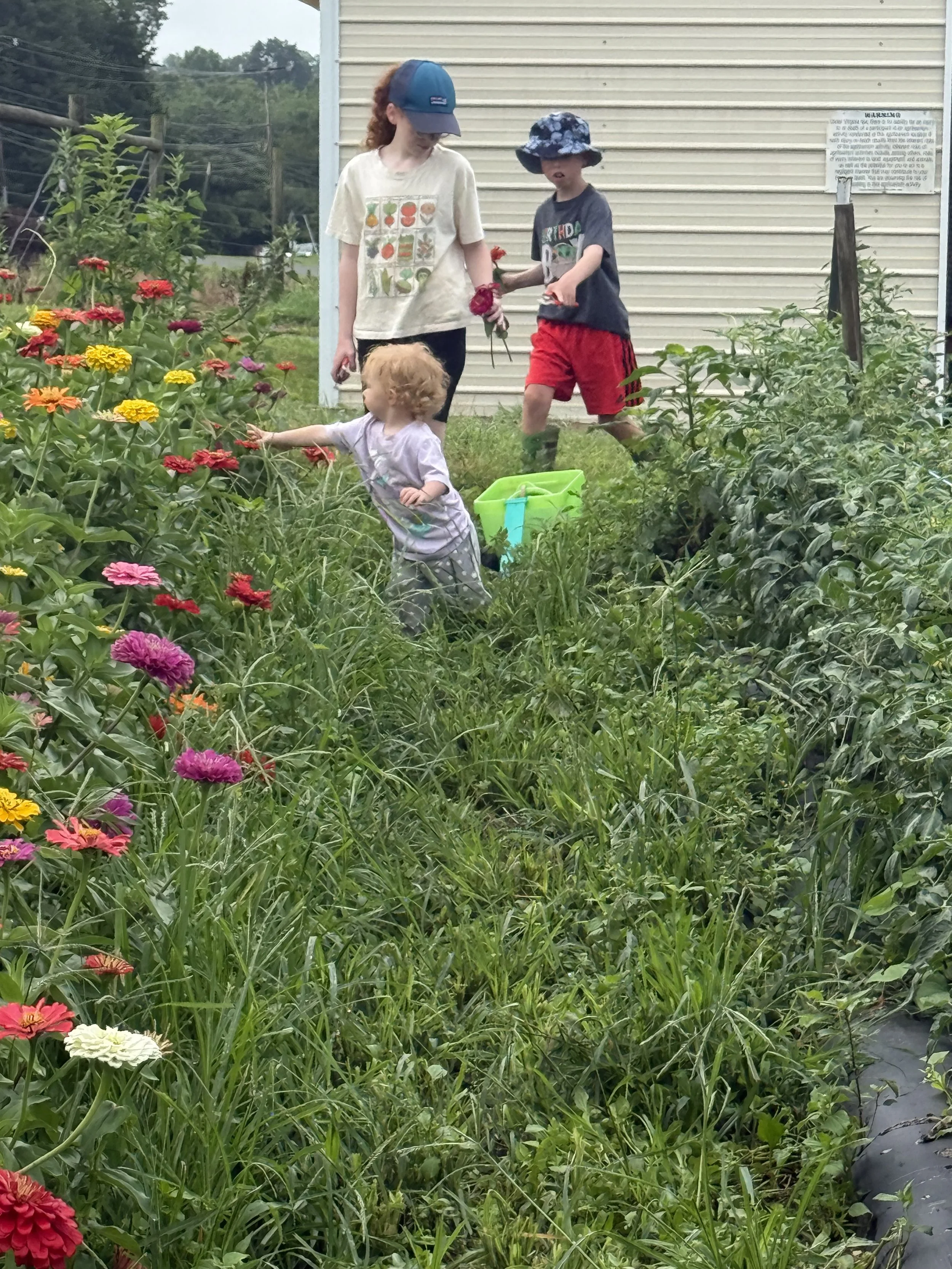 Four children outdoors in a garden filled with colorful flowers. One young girl with curly red hair is reaching out to touch a flower, while an older girl and boy, wearing hats, stand nearby. The young girl has light red hair and is wearing a light s