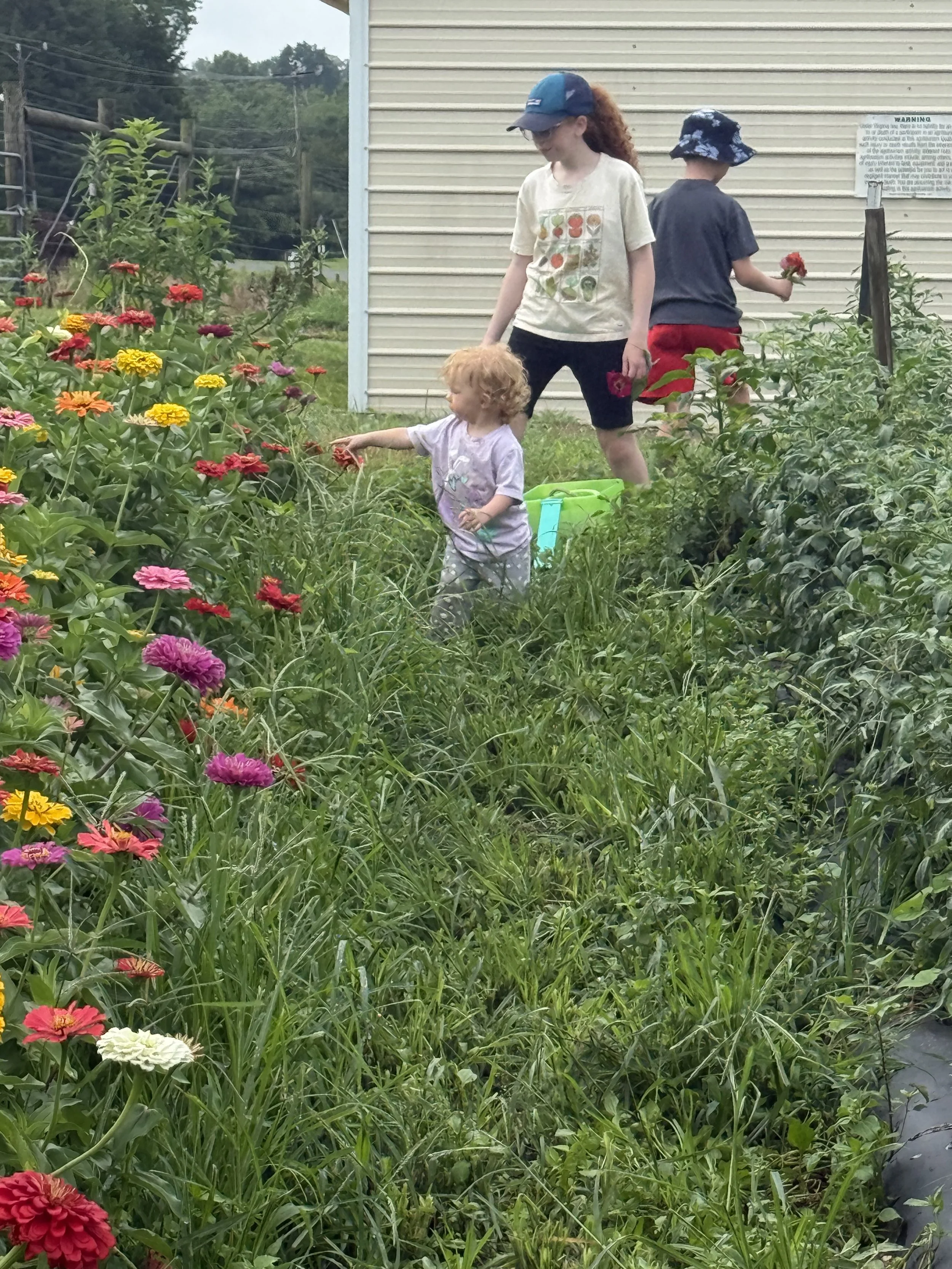 Three children picking flowers in a garden with tall grass and colorful blooms, near a beige building.