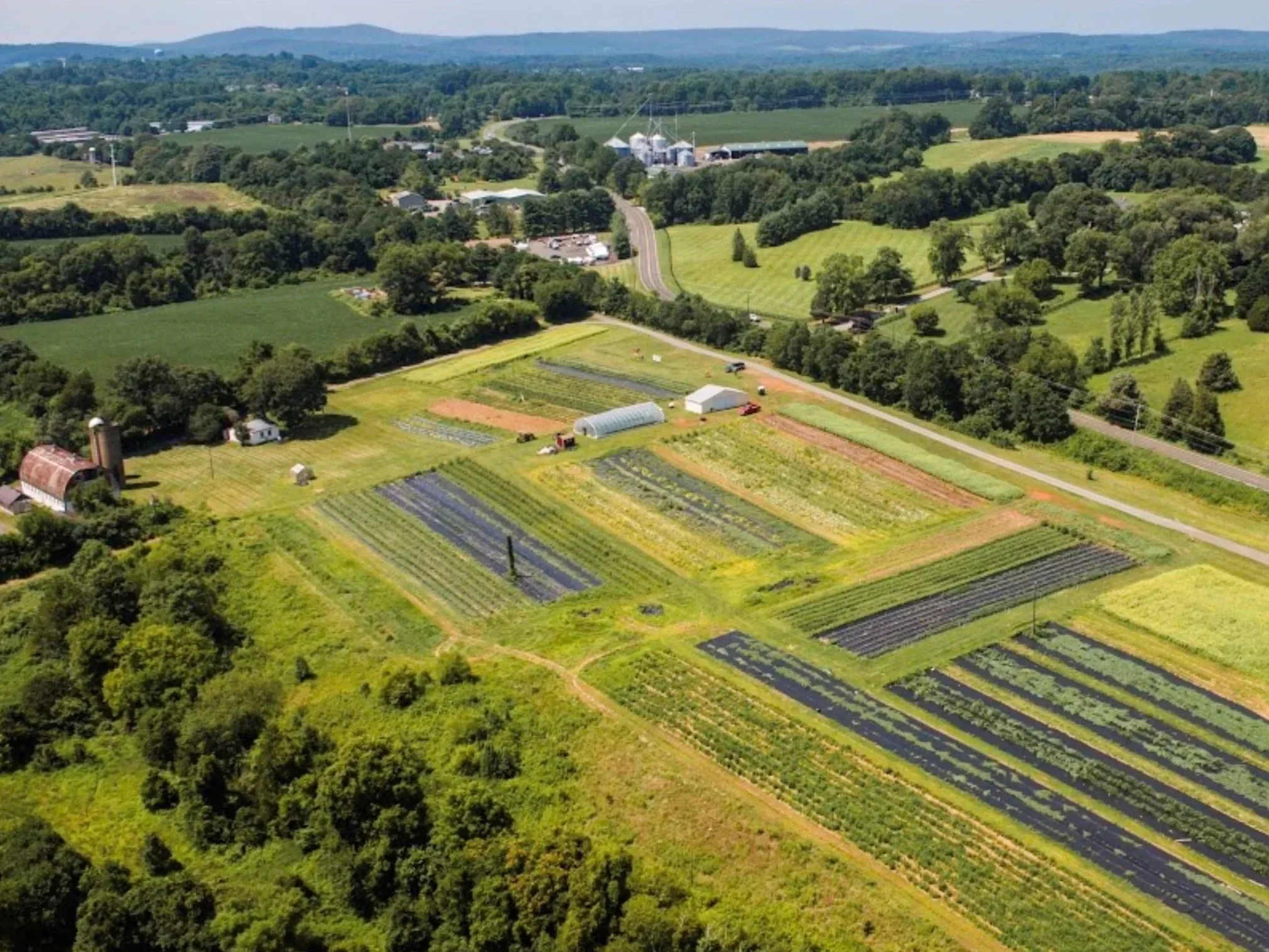 Aerial view of farmland with vegetable or flower beds, farm buildings, silos, and surrounding green fields and forests.