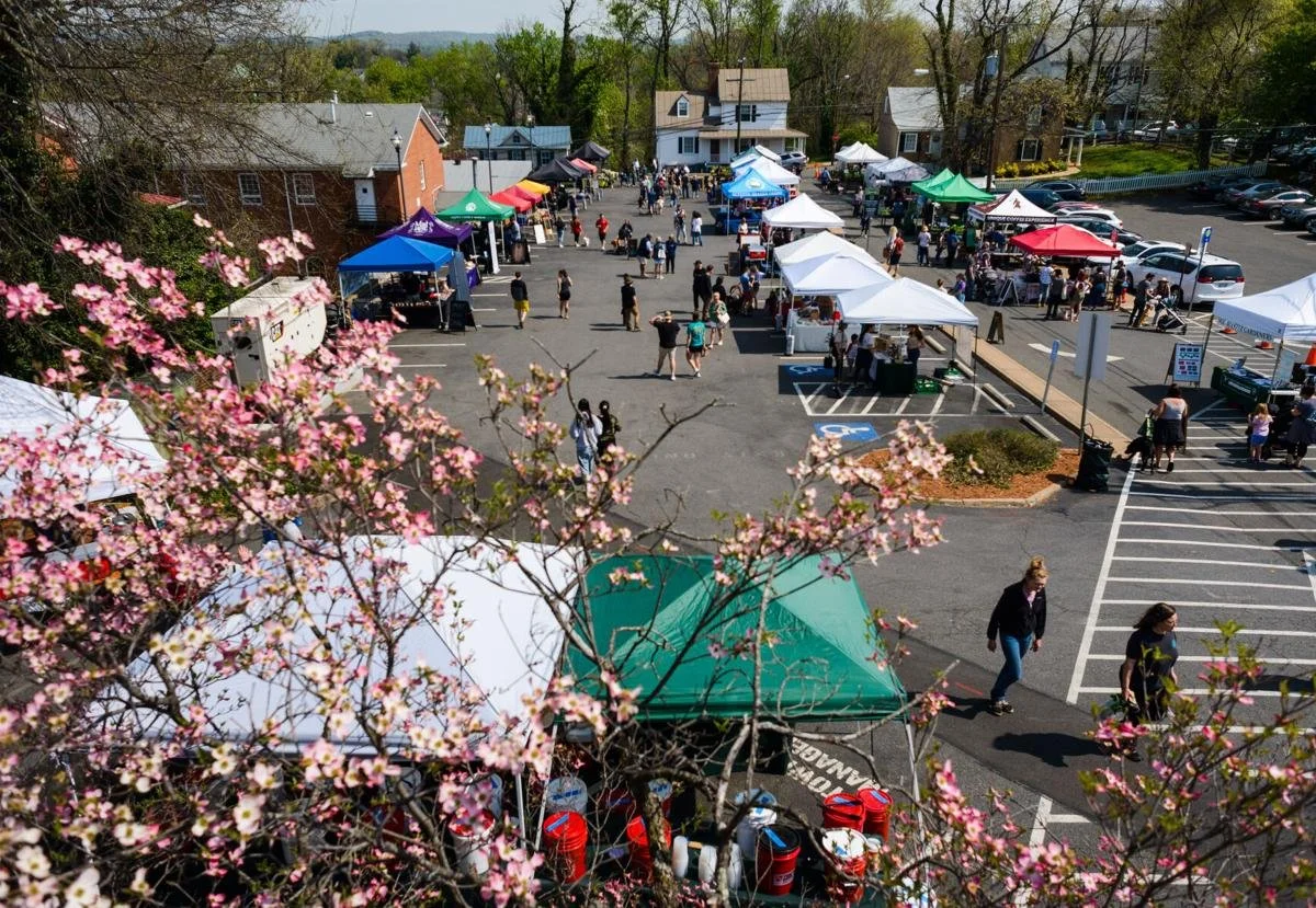 Warrenton Farmers Market in a parking lot with tents and people shopping, with pink flowering tree in the foreground.