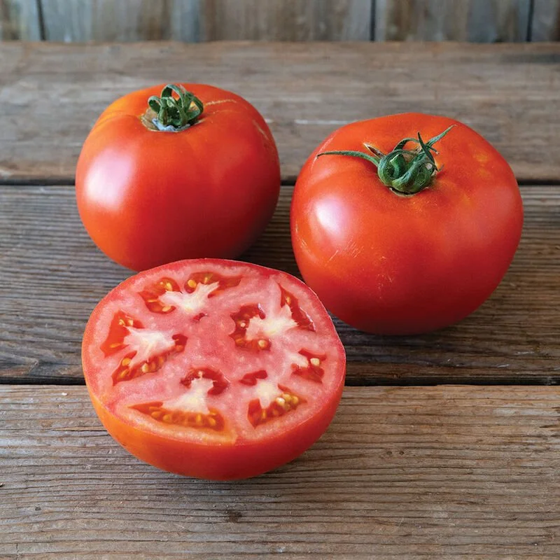 TOMATO_unity.jpg
