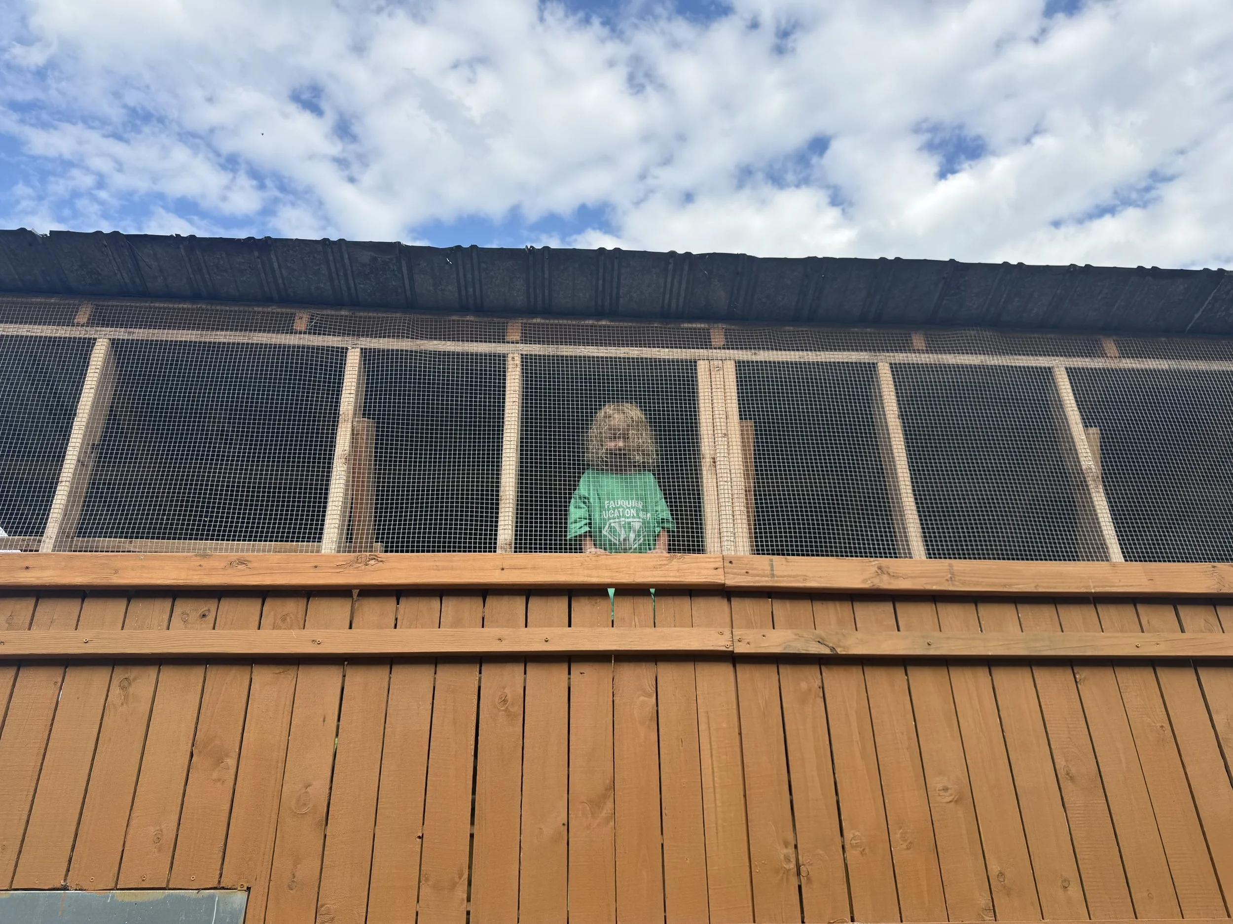 IMG_4152.jpeg