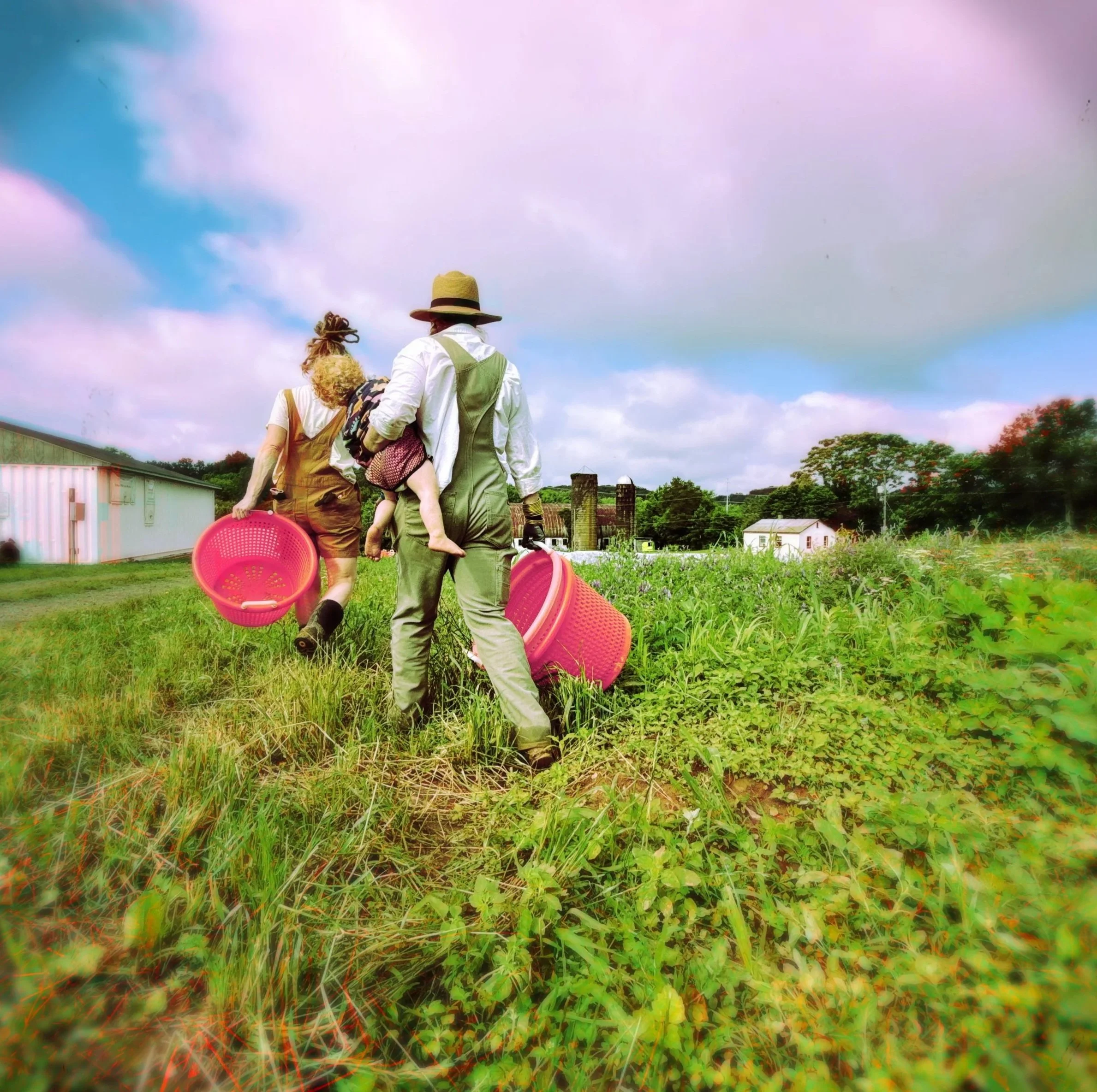 Farmers in overalls and straw hat walking through a green field, carrying pink baskets, with a farm building in the background.