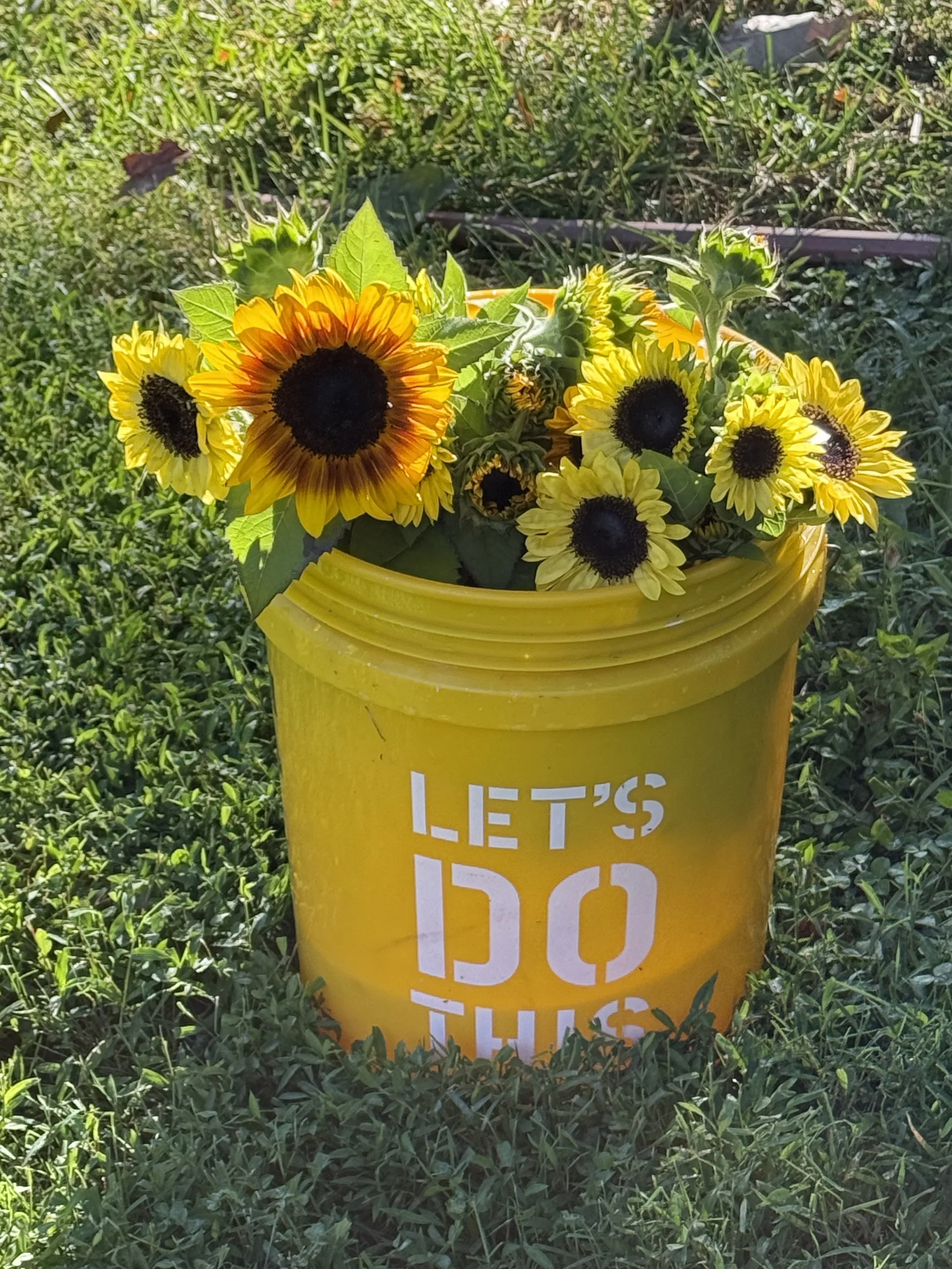 A yellow bucket with the words 'Let's Do This' written on it, filled with sunflowers, placed on grass.