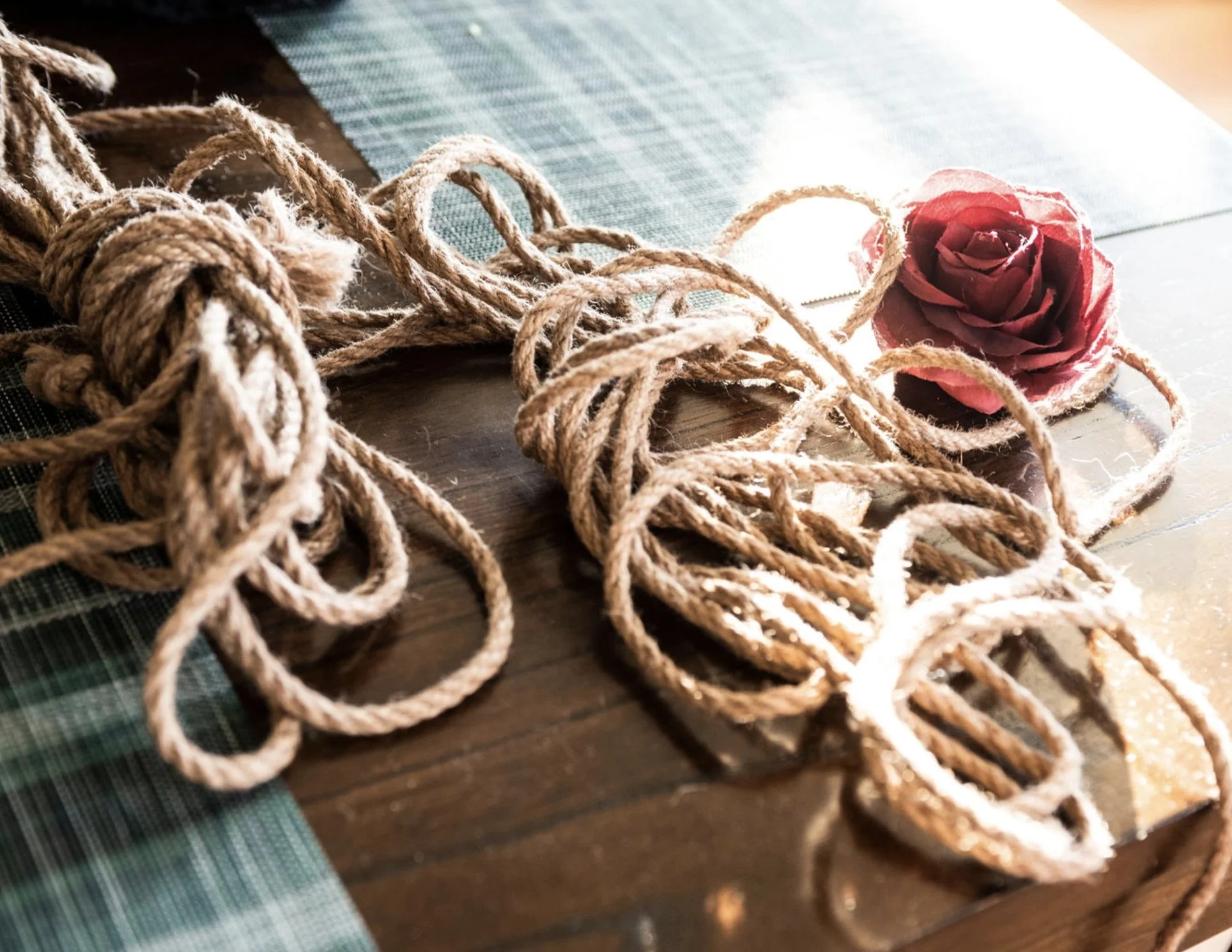 rope and rose.jpg