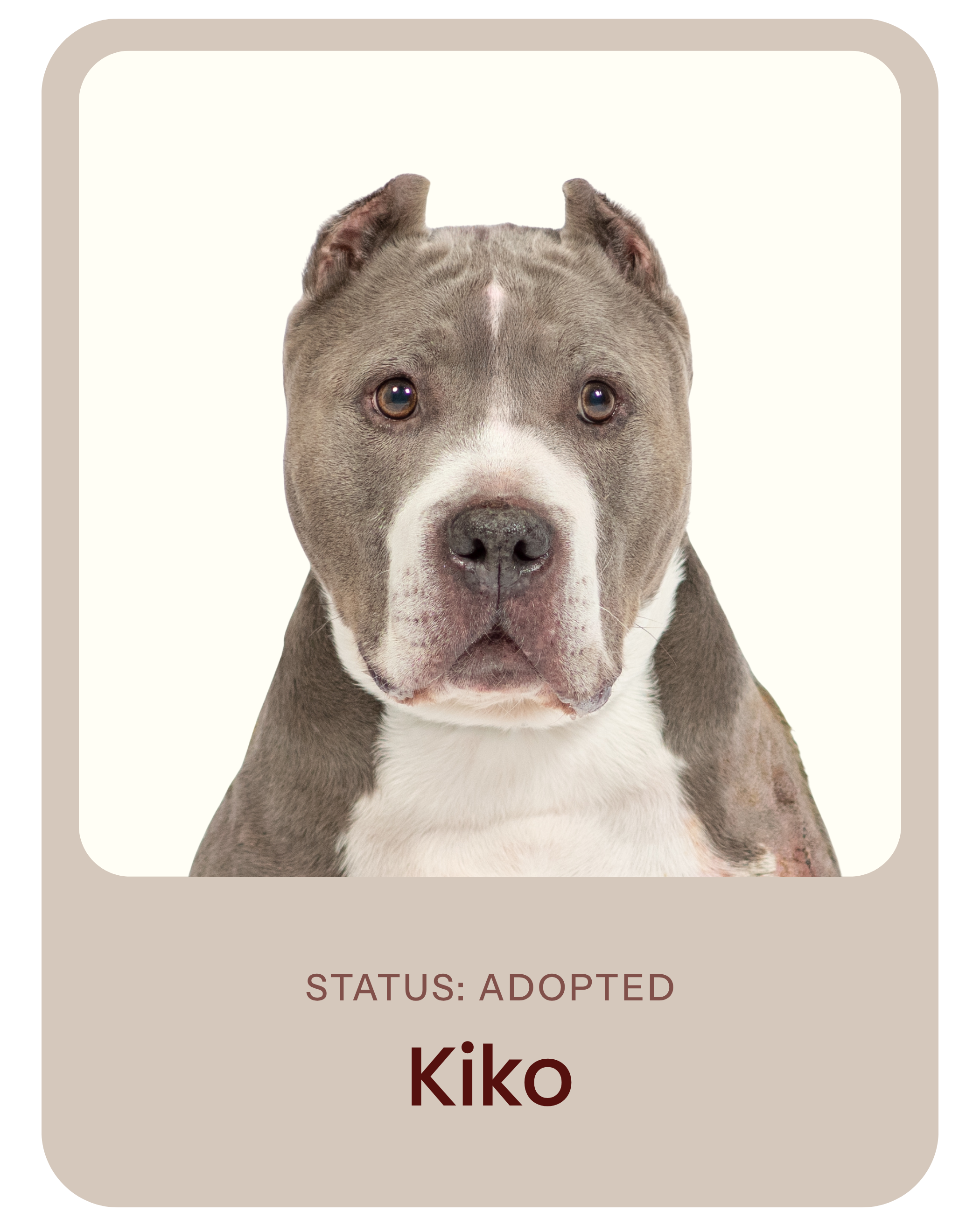 I've been adopted!