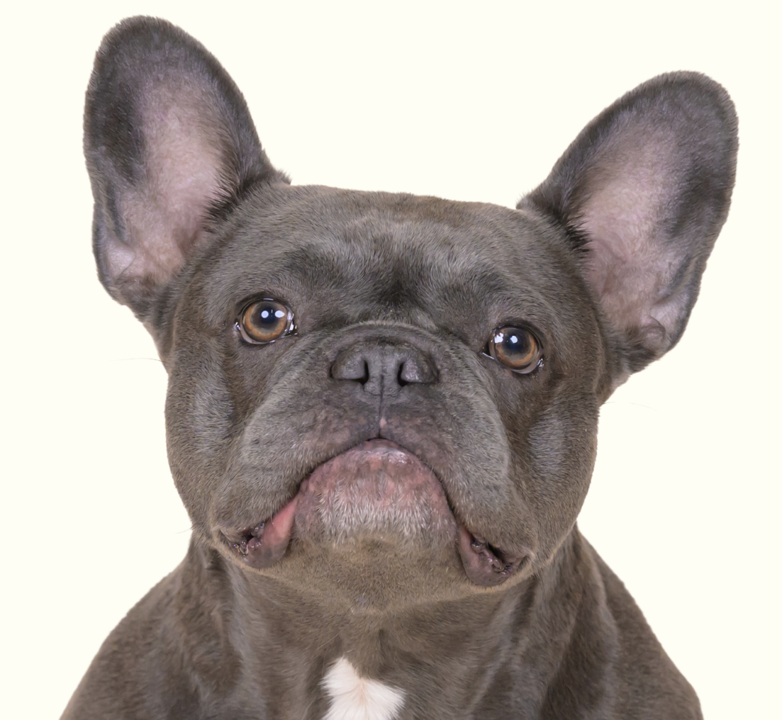 Olive: Progress Made Possible by Care