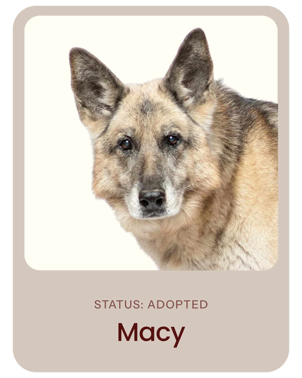 I've been adopted!