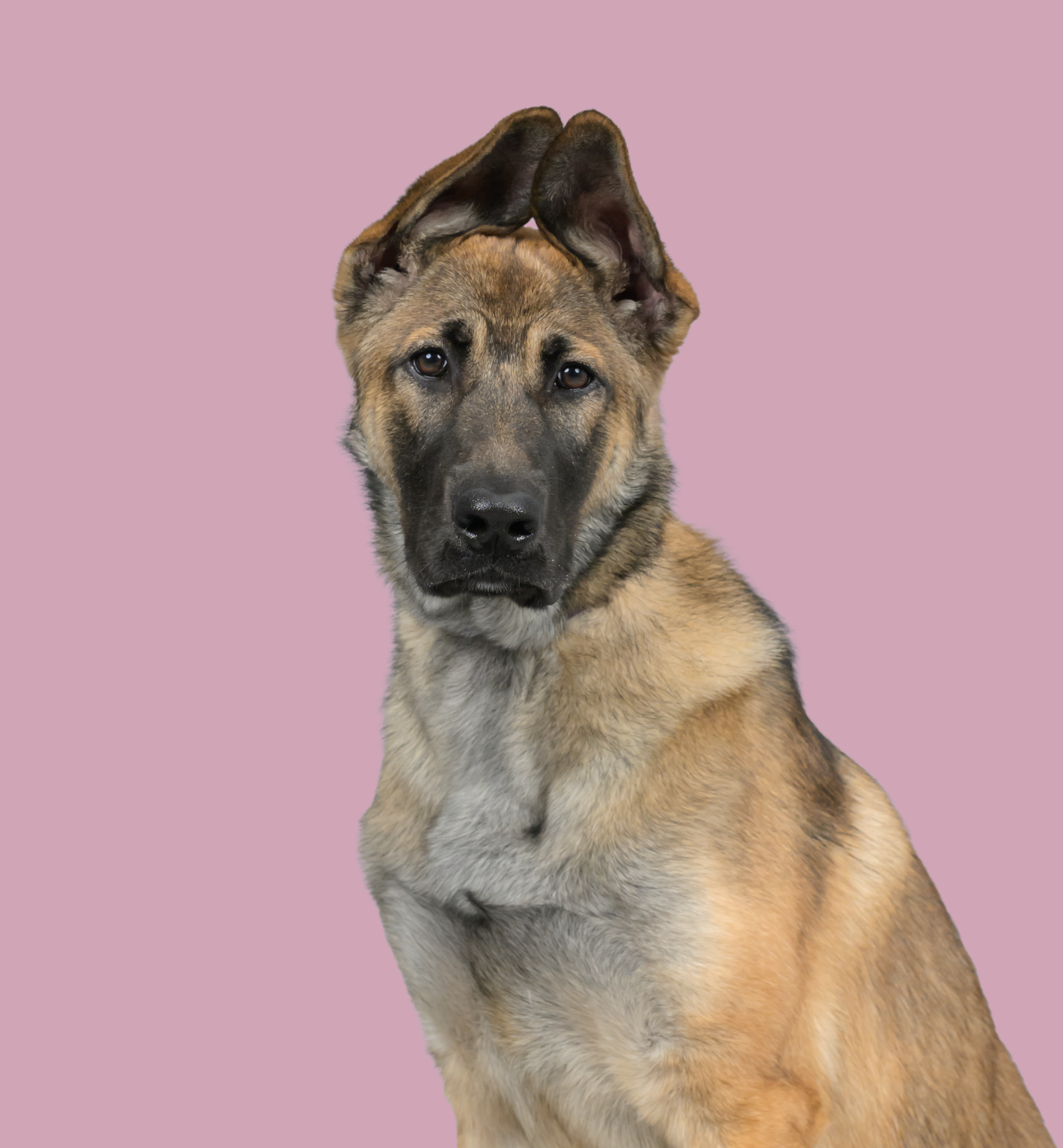 Abbey9 (1).png