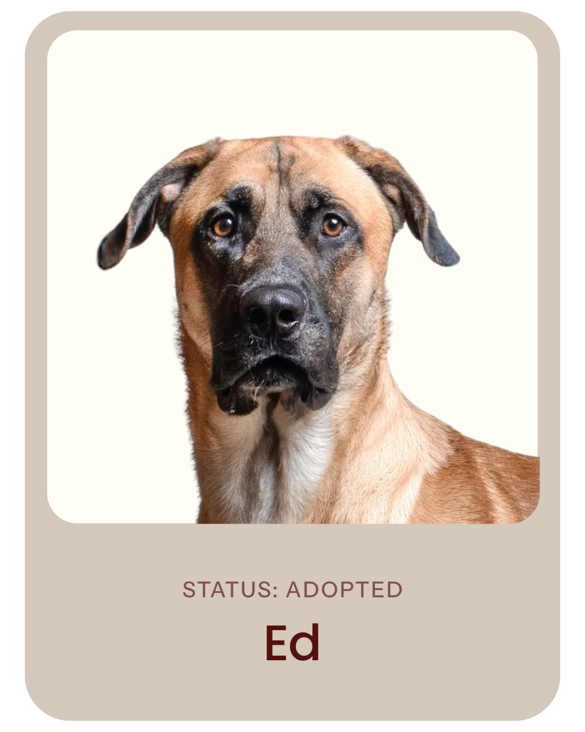 I've been adopted!