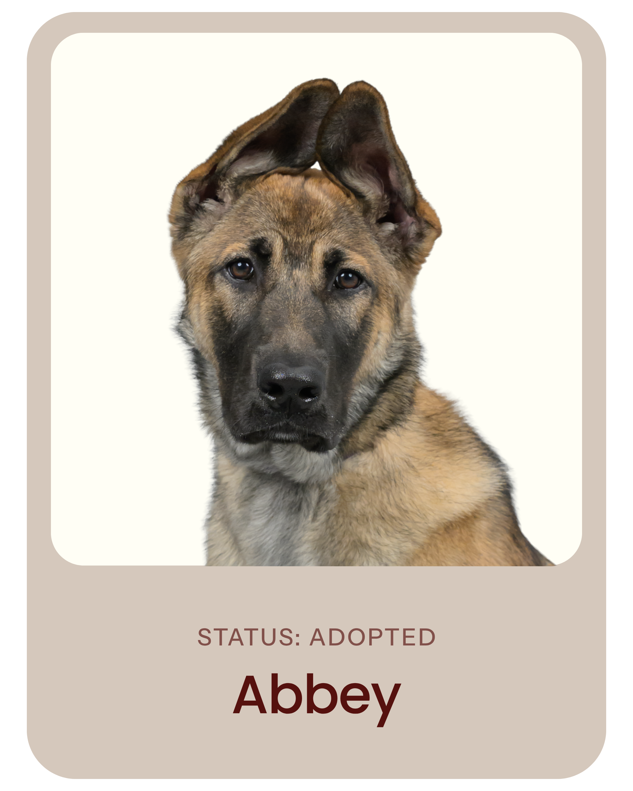 I've been adopted!