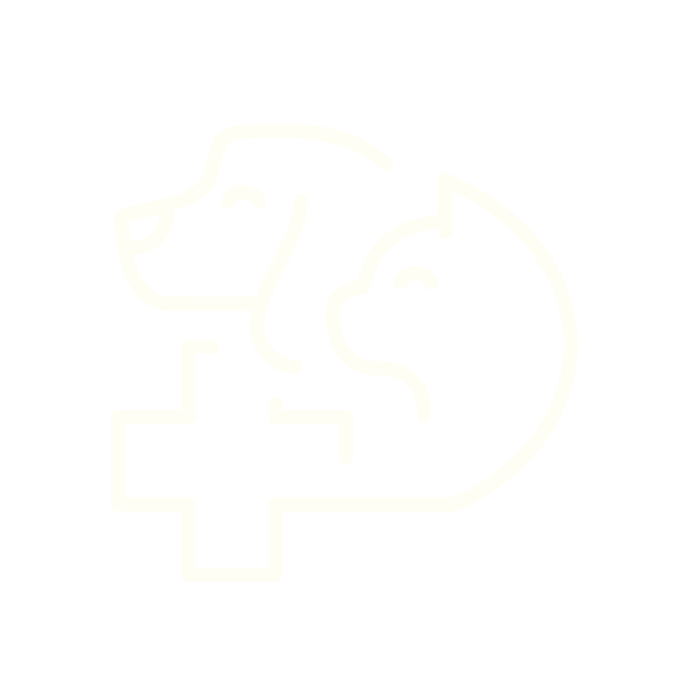 Outline of a dog's head with a plus sign and a smaller dog's head inside, connected by a line, representing veterinary or pet health care.