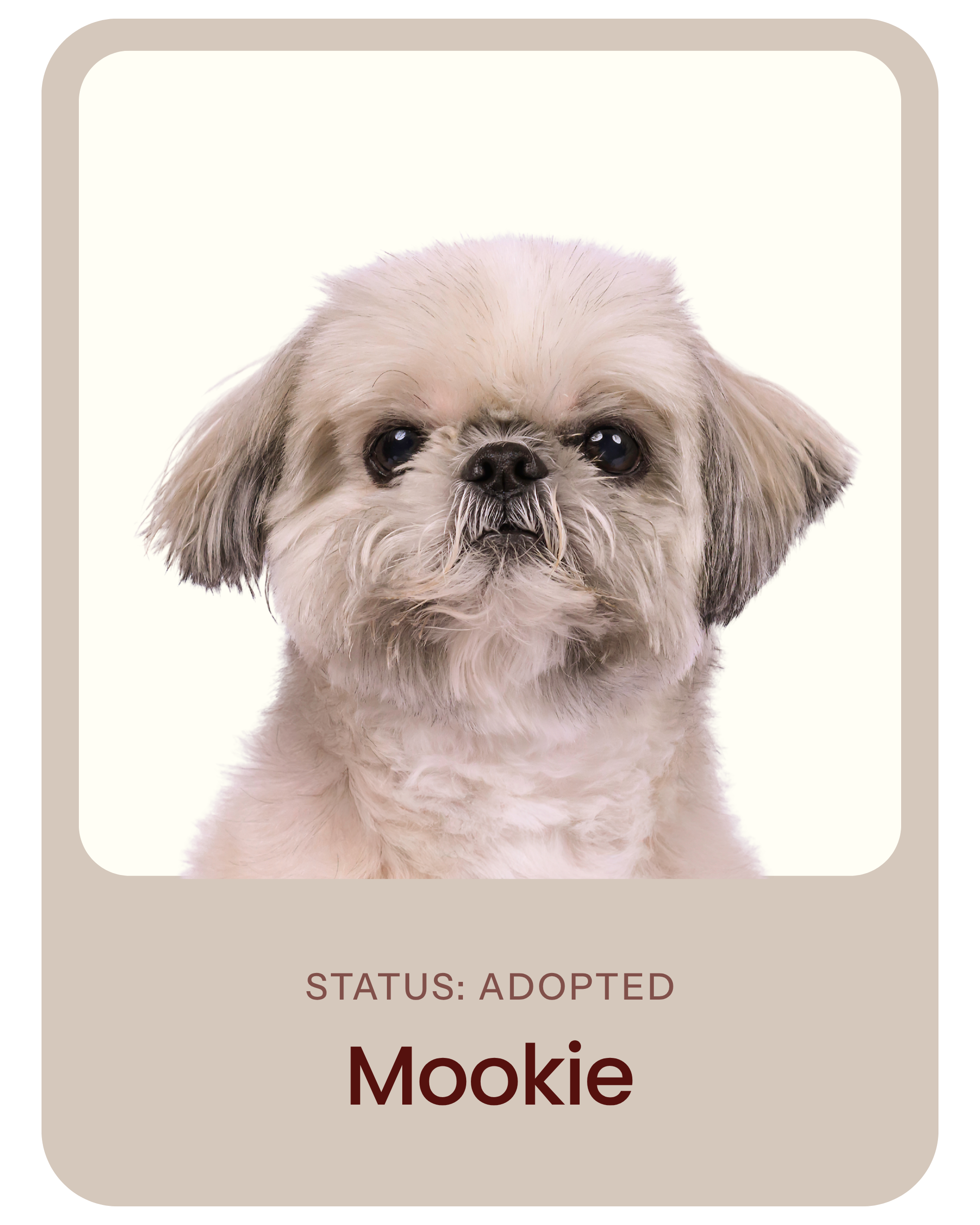 I've been adopted!