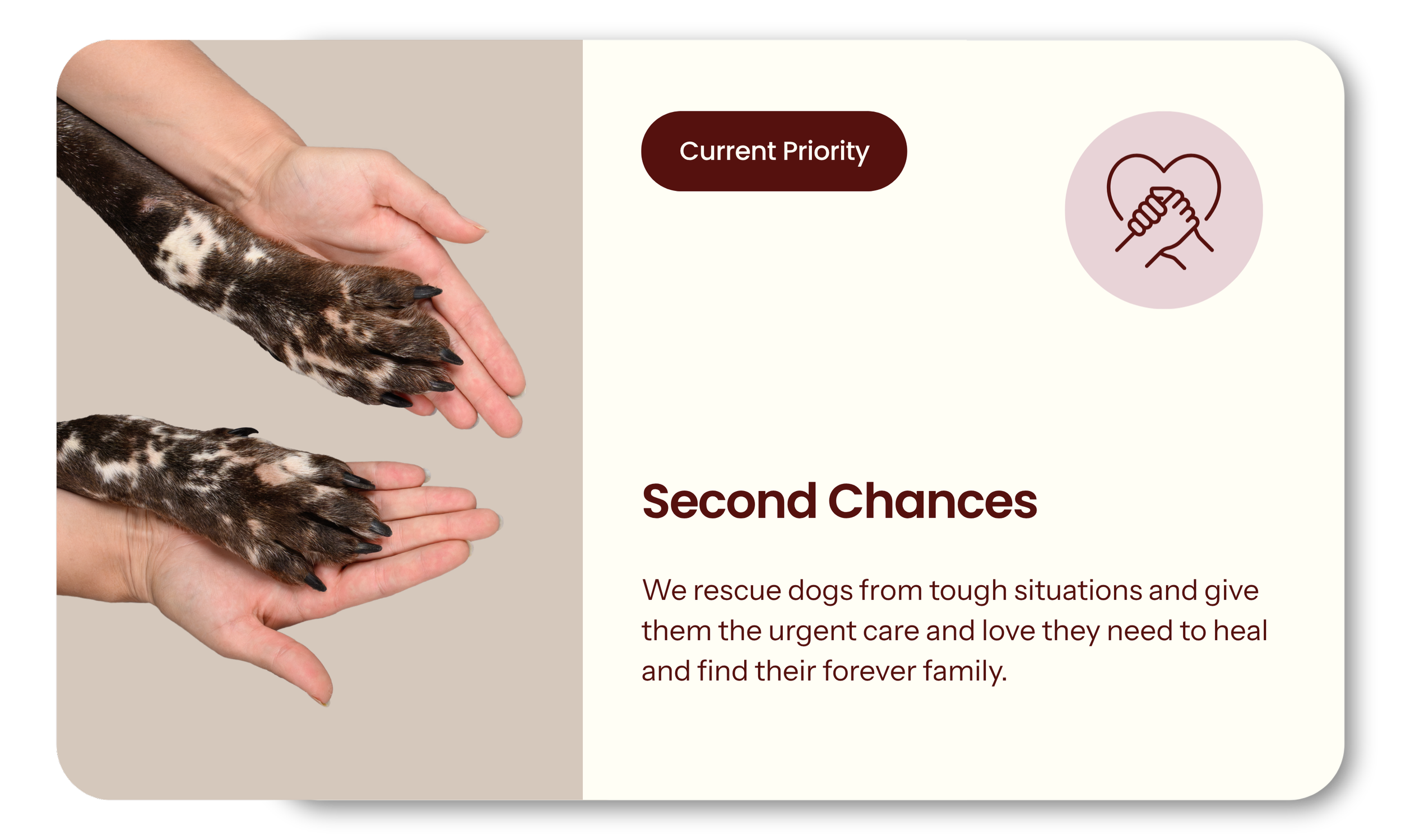 SecondChances.png