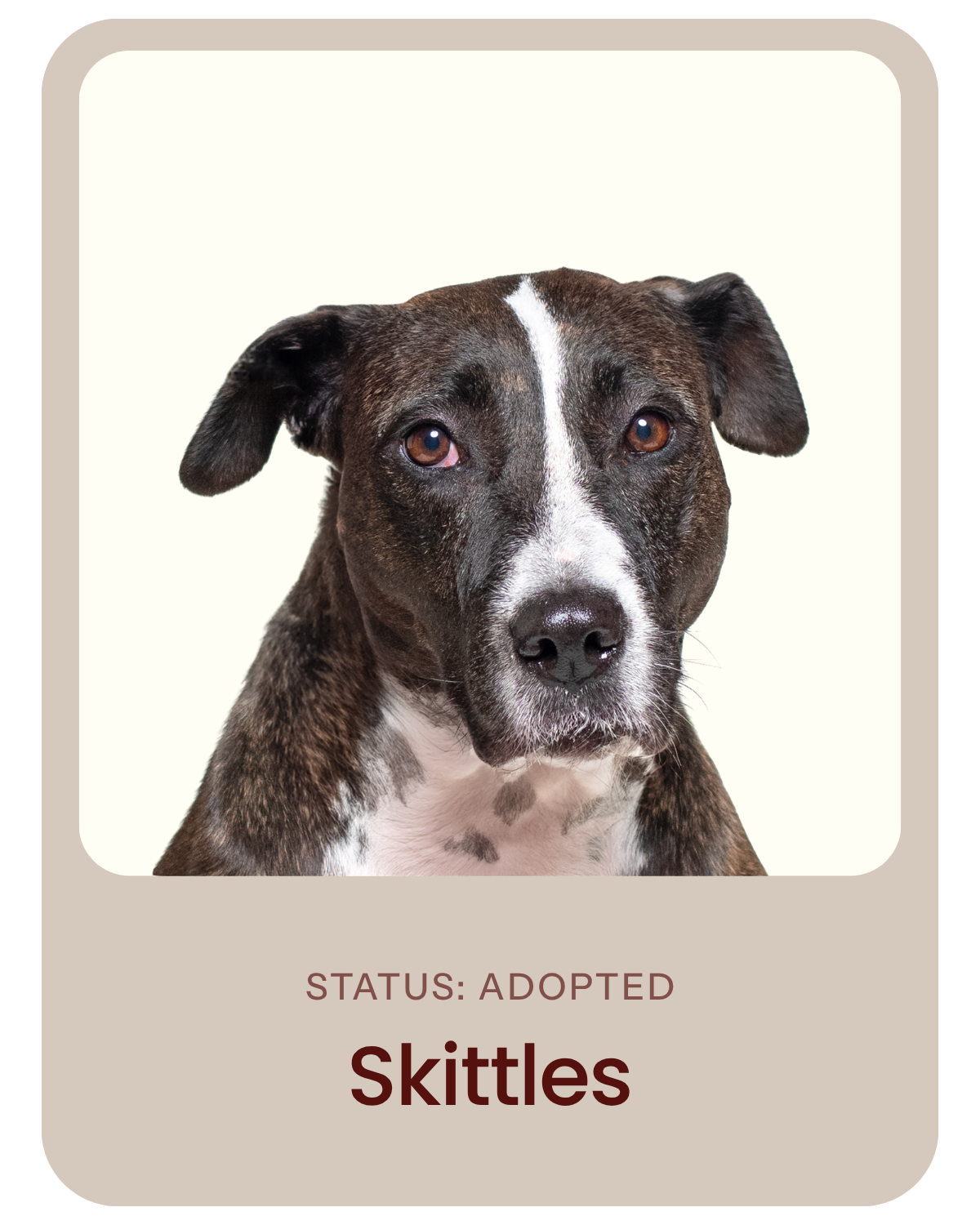 I've been adopted!