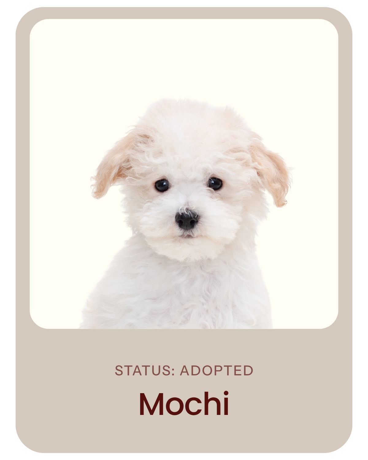 I've been adopted!
