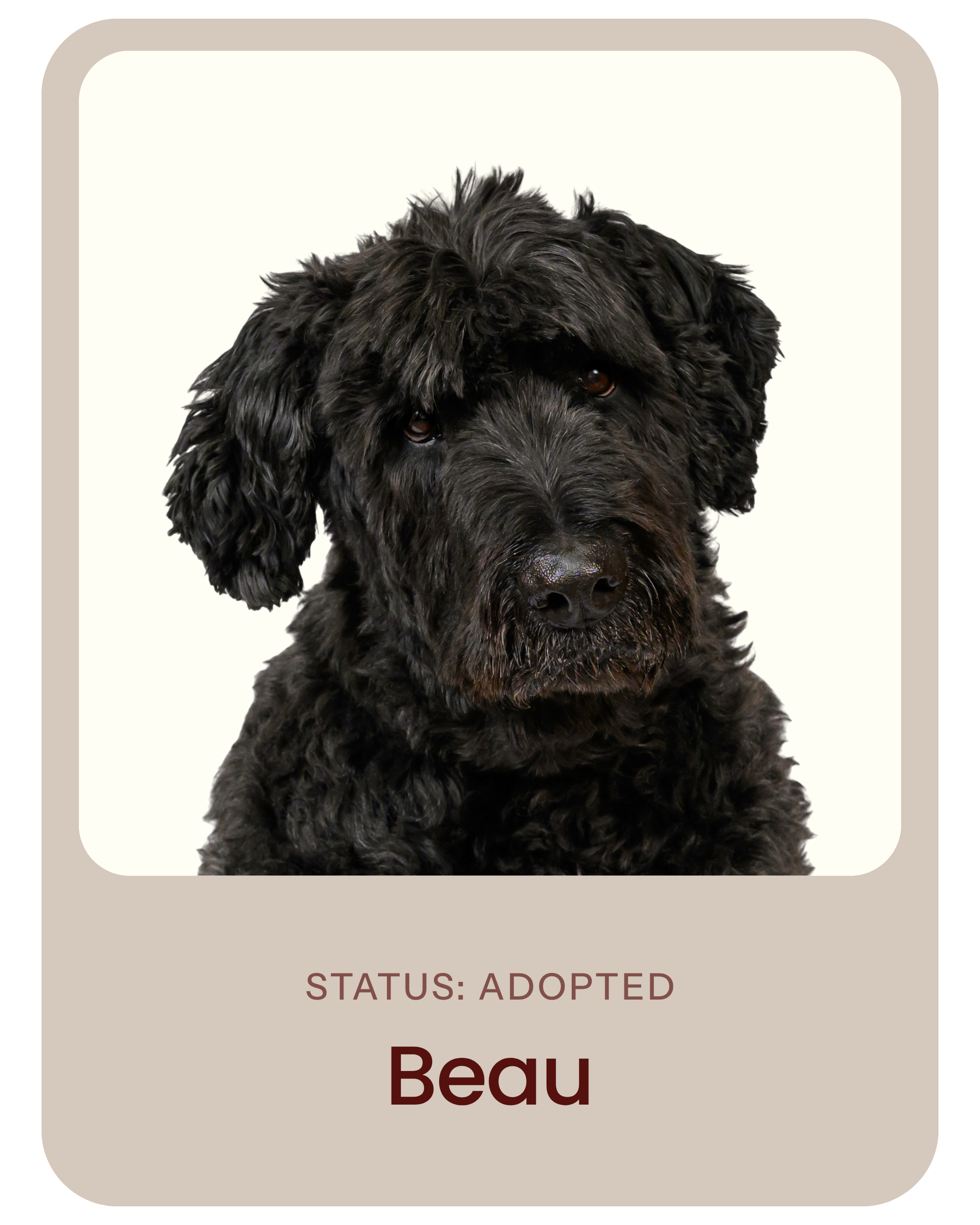 I've been adopted!