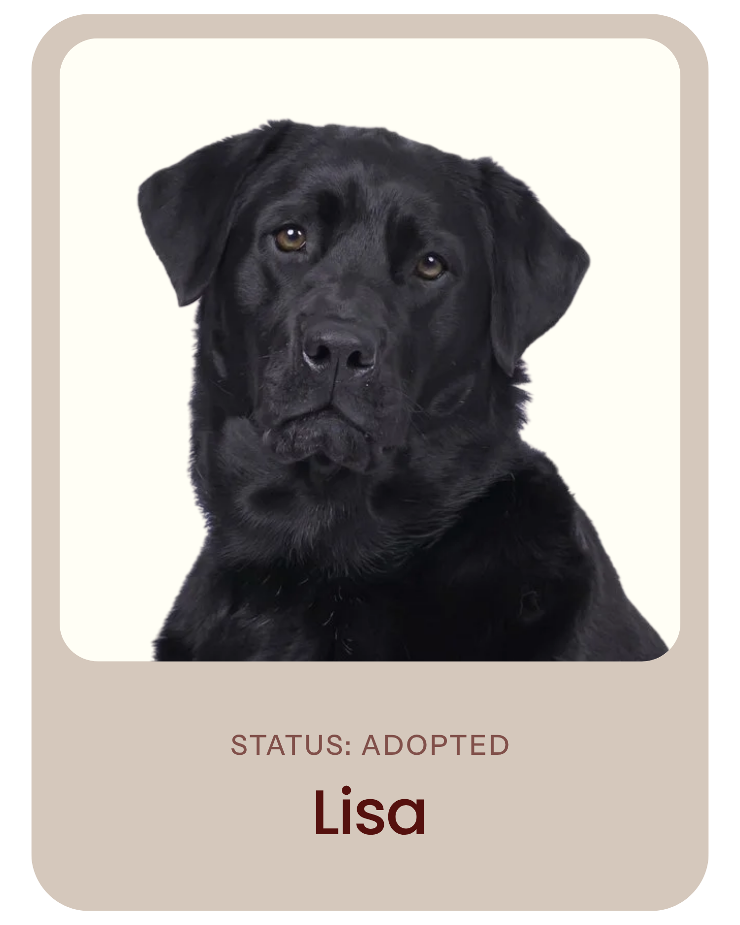 I've been adopted!