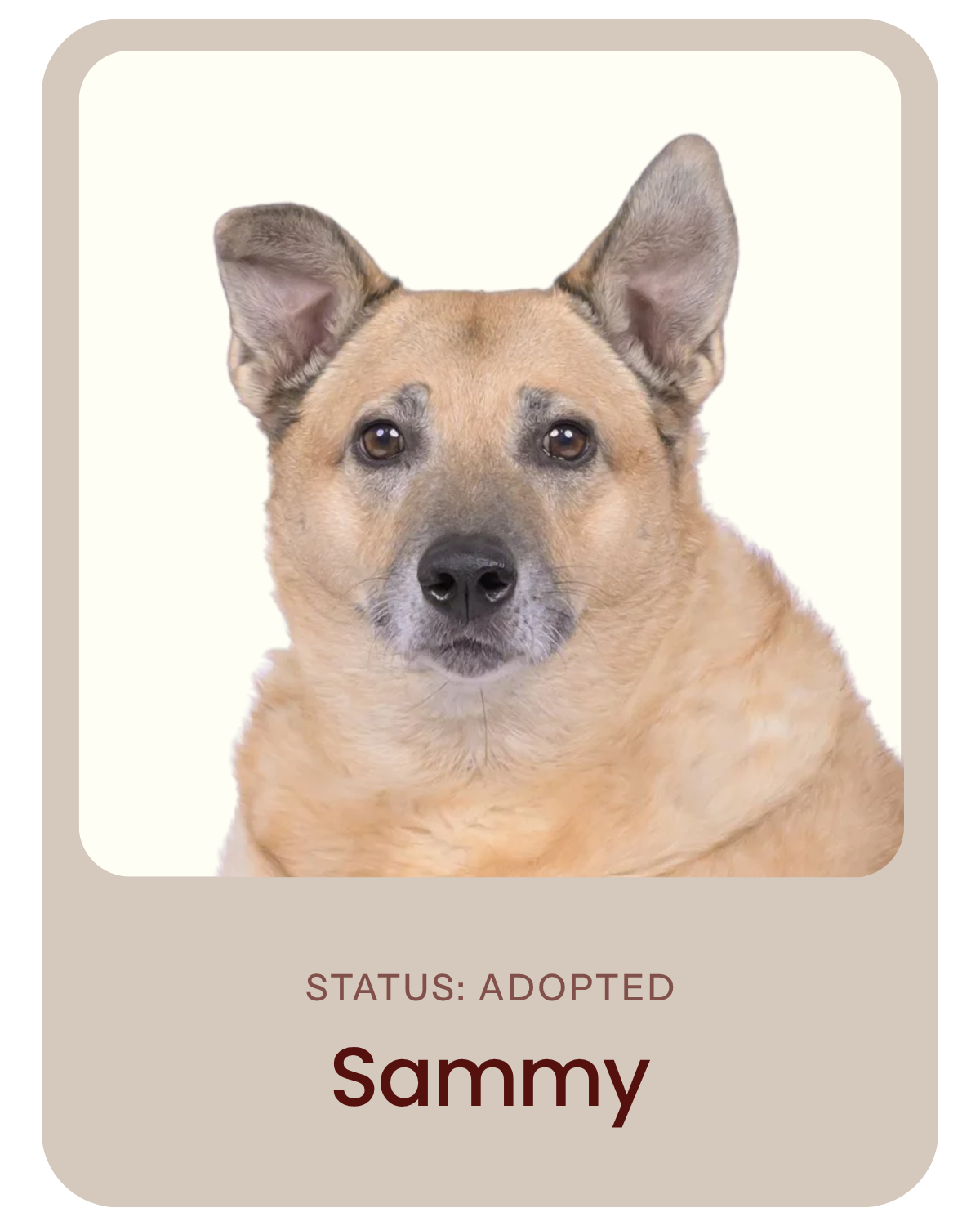I've been adopted!