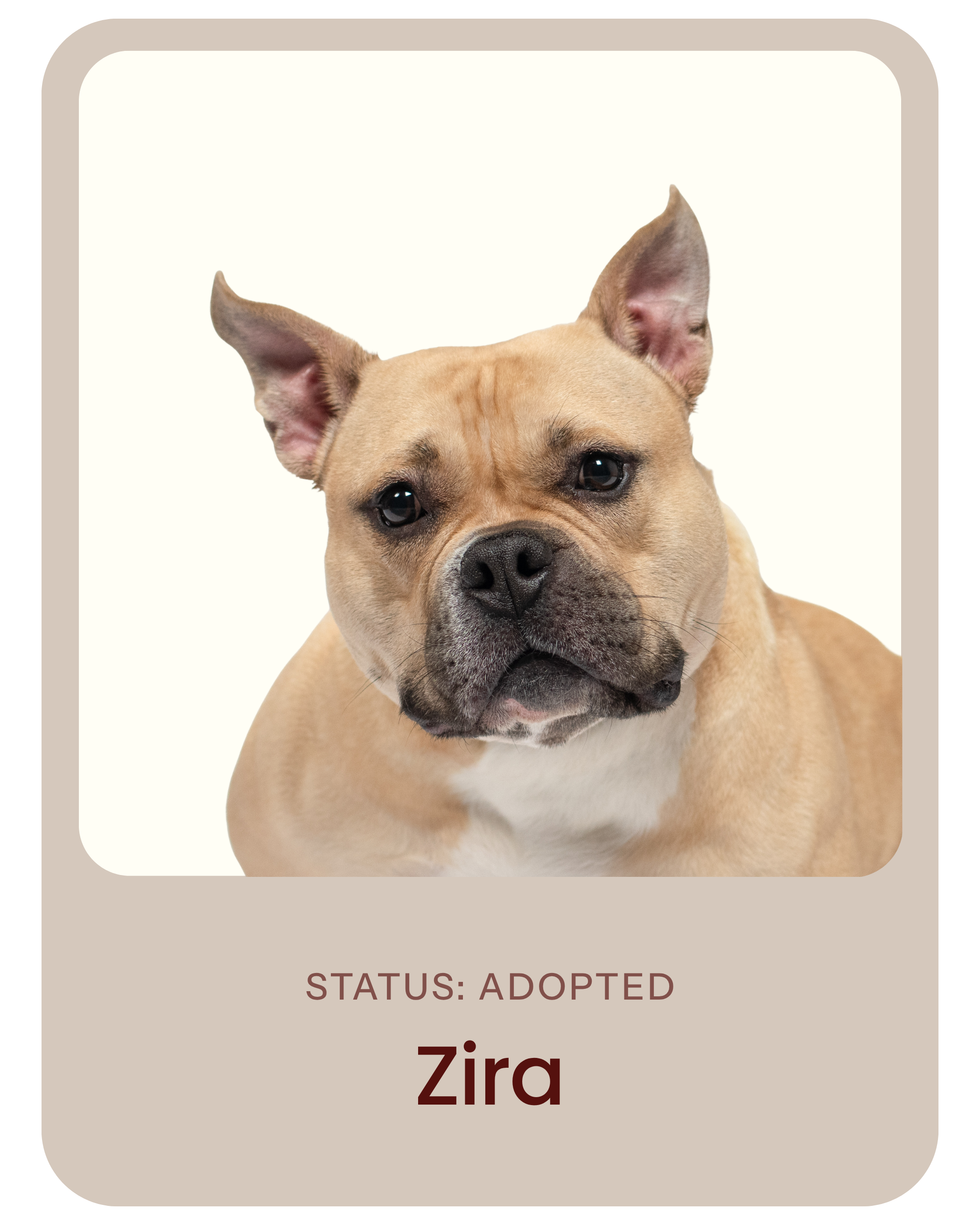 I've been adopted!