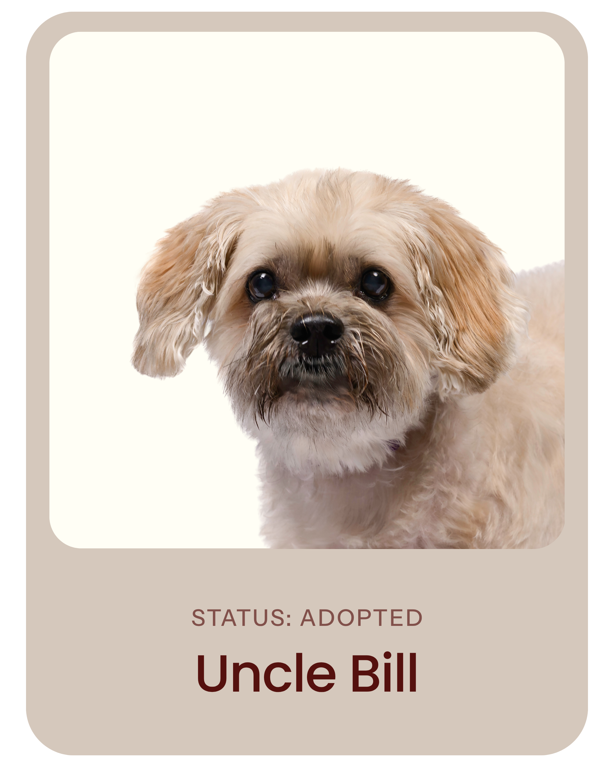 I've been adopted!