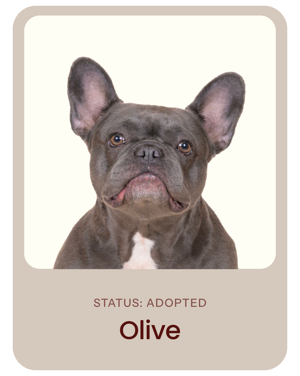 I've been adopted!