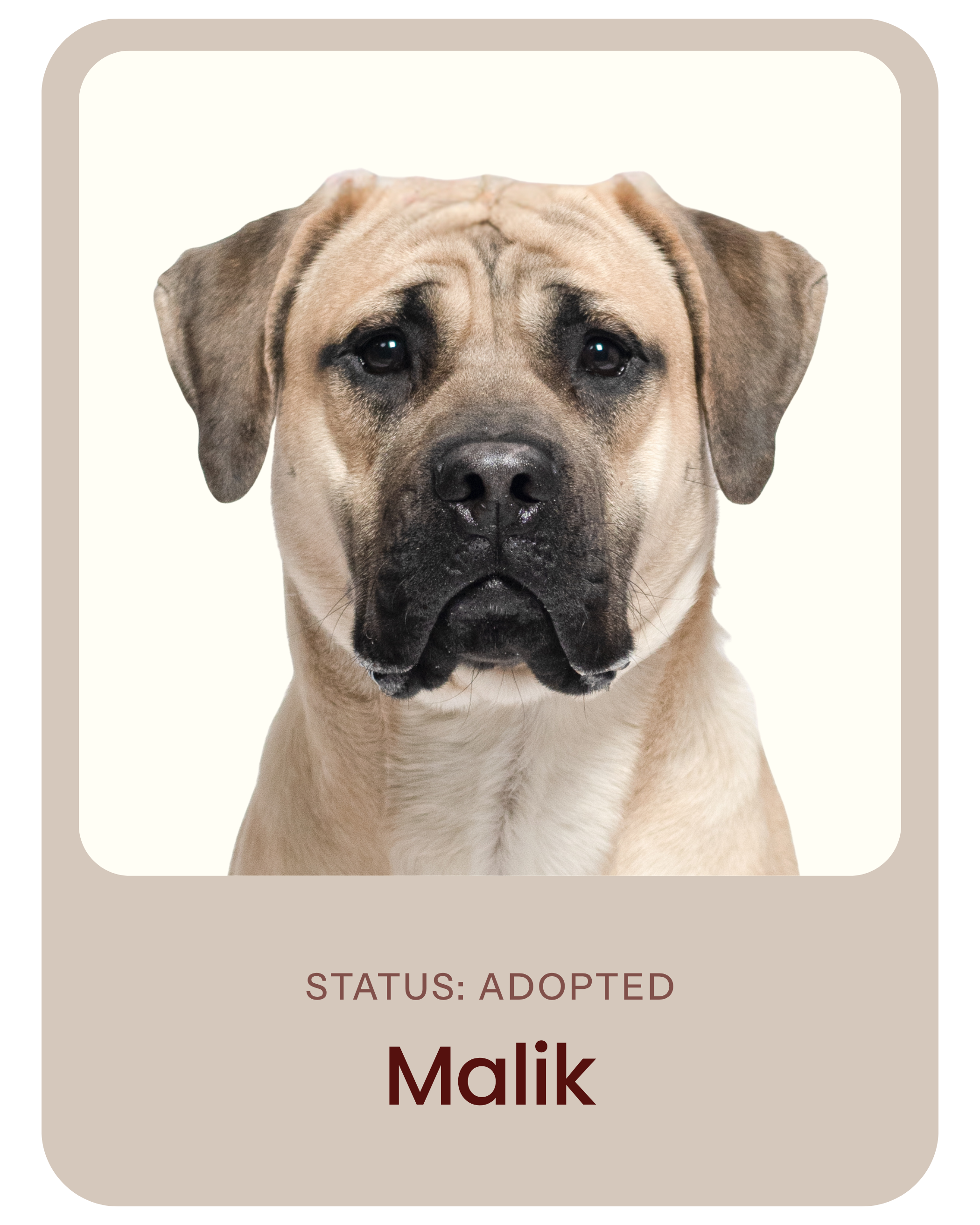 I've been adopted!